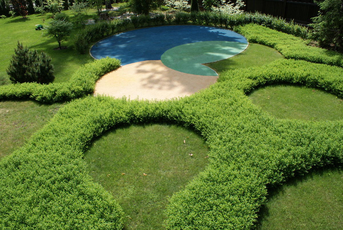 В закладки: Топ-5 растений для стриженого бордюра