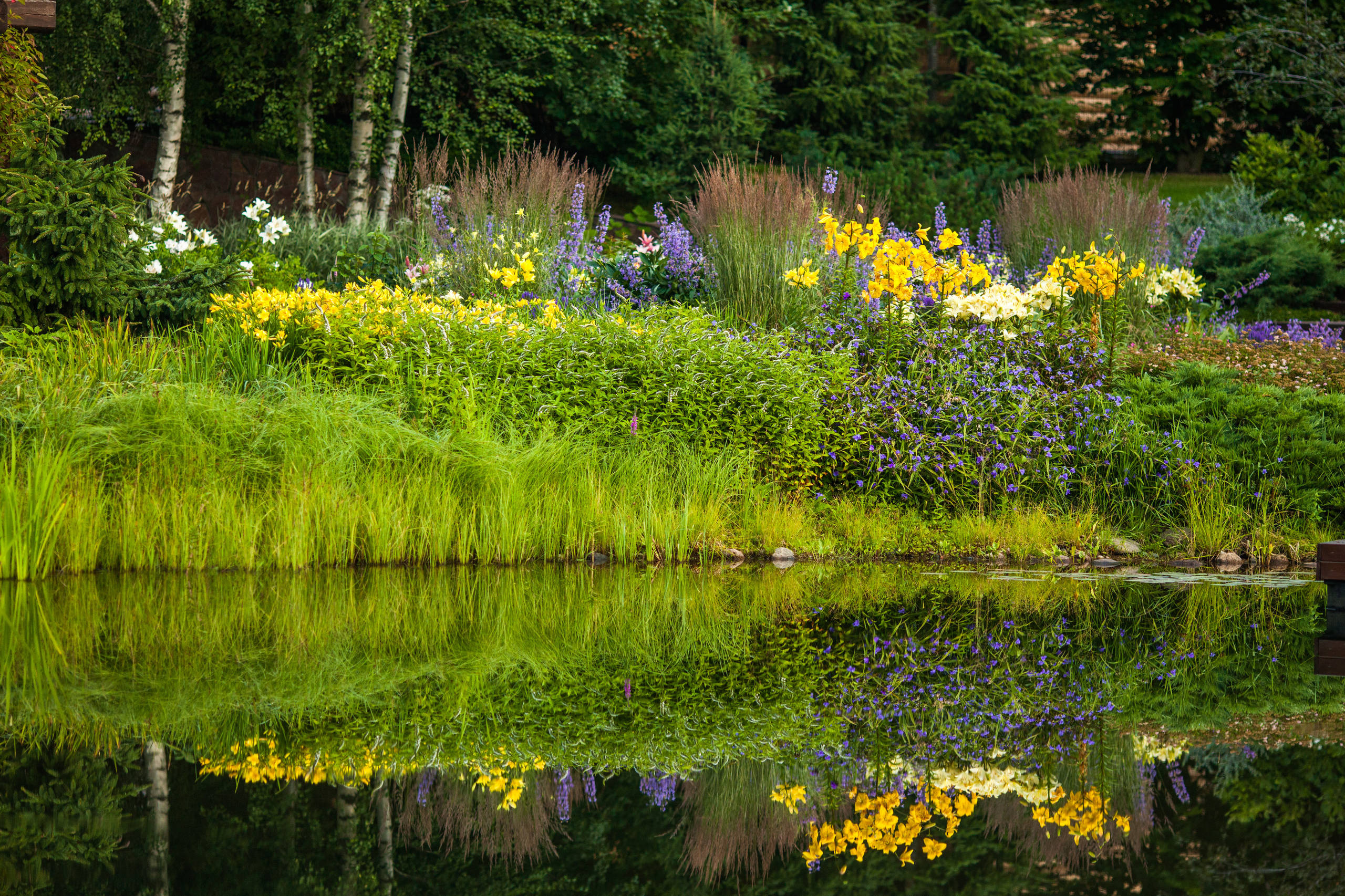 Как взглянуть на мир цвета другими глазами?