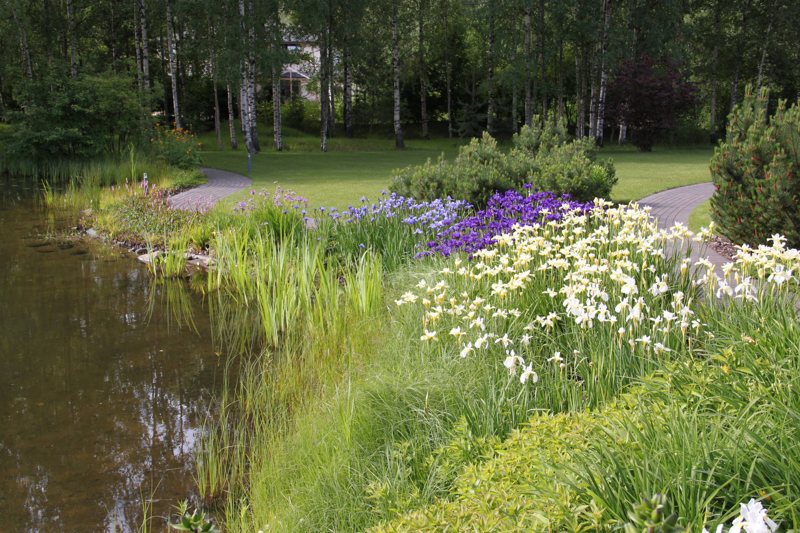 Как правильно: Отвести лишнюю воду с участка