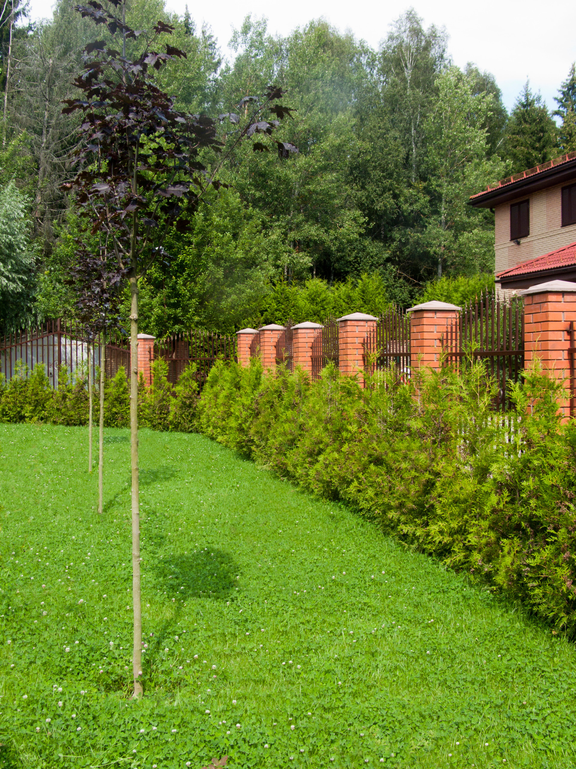 Вопрос: Чем заменить традиционный (партерный) газон