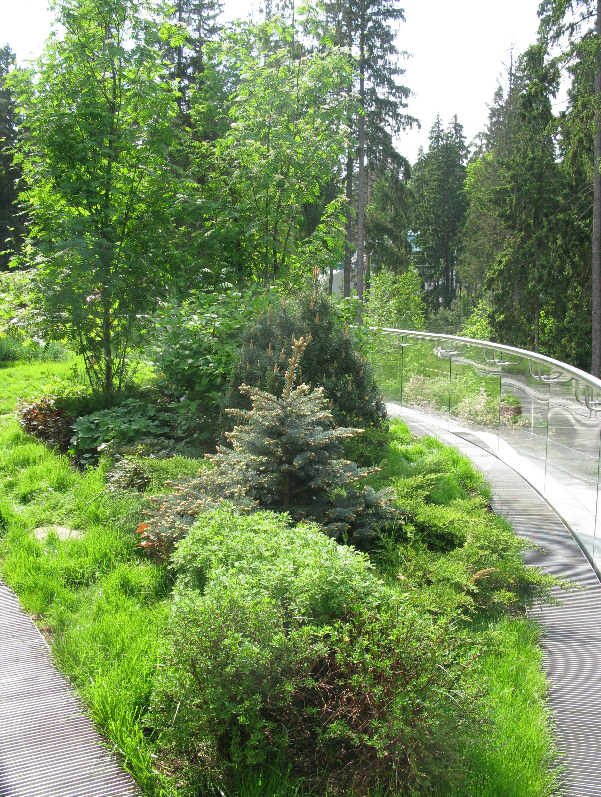 Сад на крыше: Как правильно выбрать растения