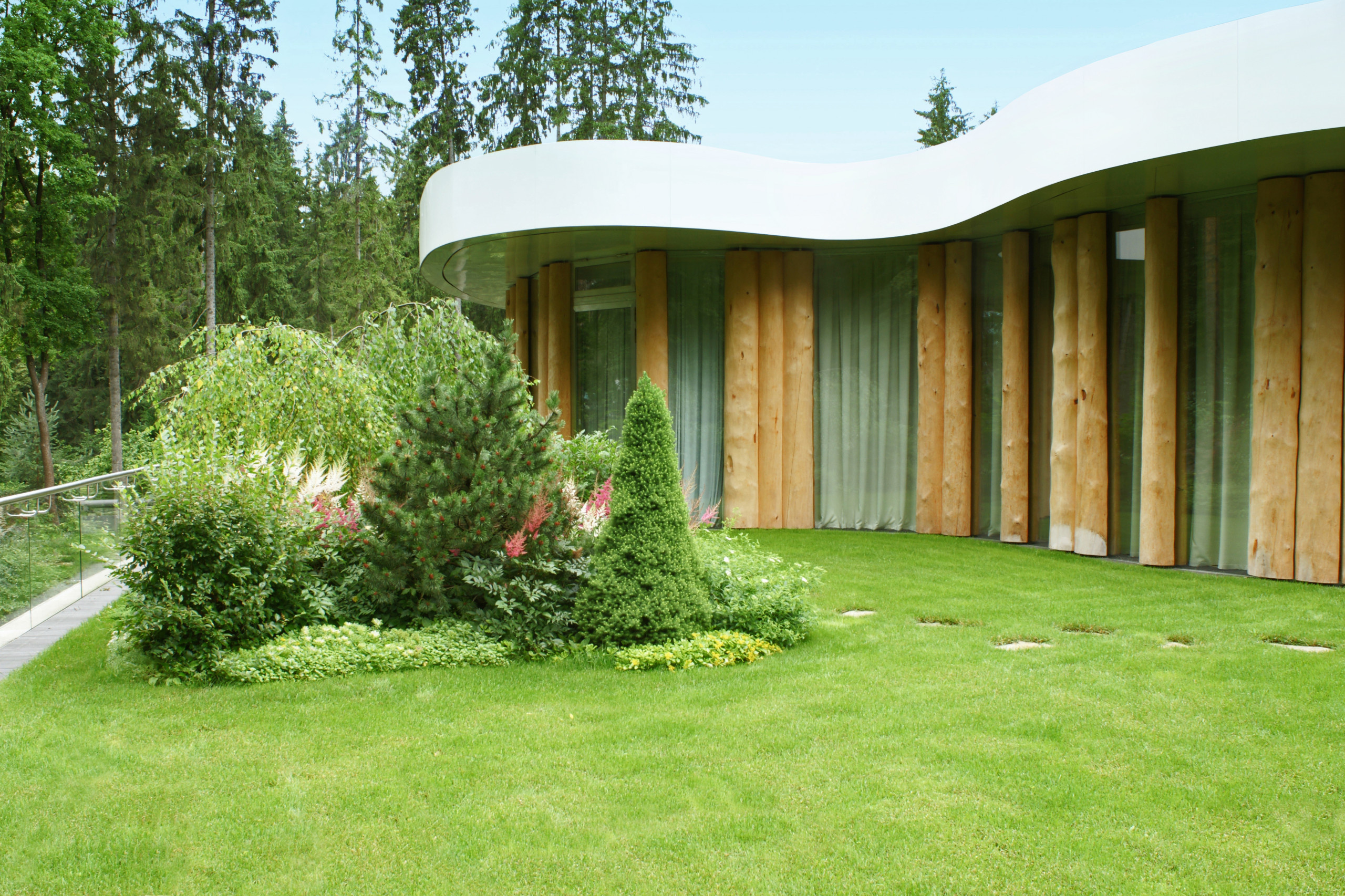 Сад на крыше: Как правильно выбрать растения