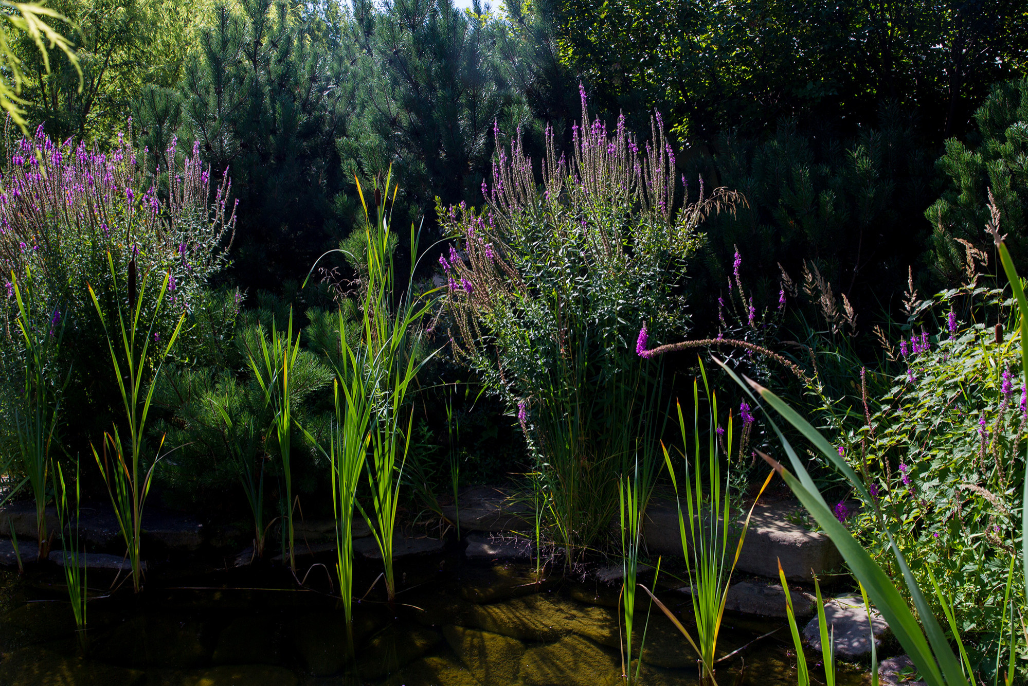 До и после: Сад с большим уклоном