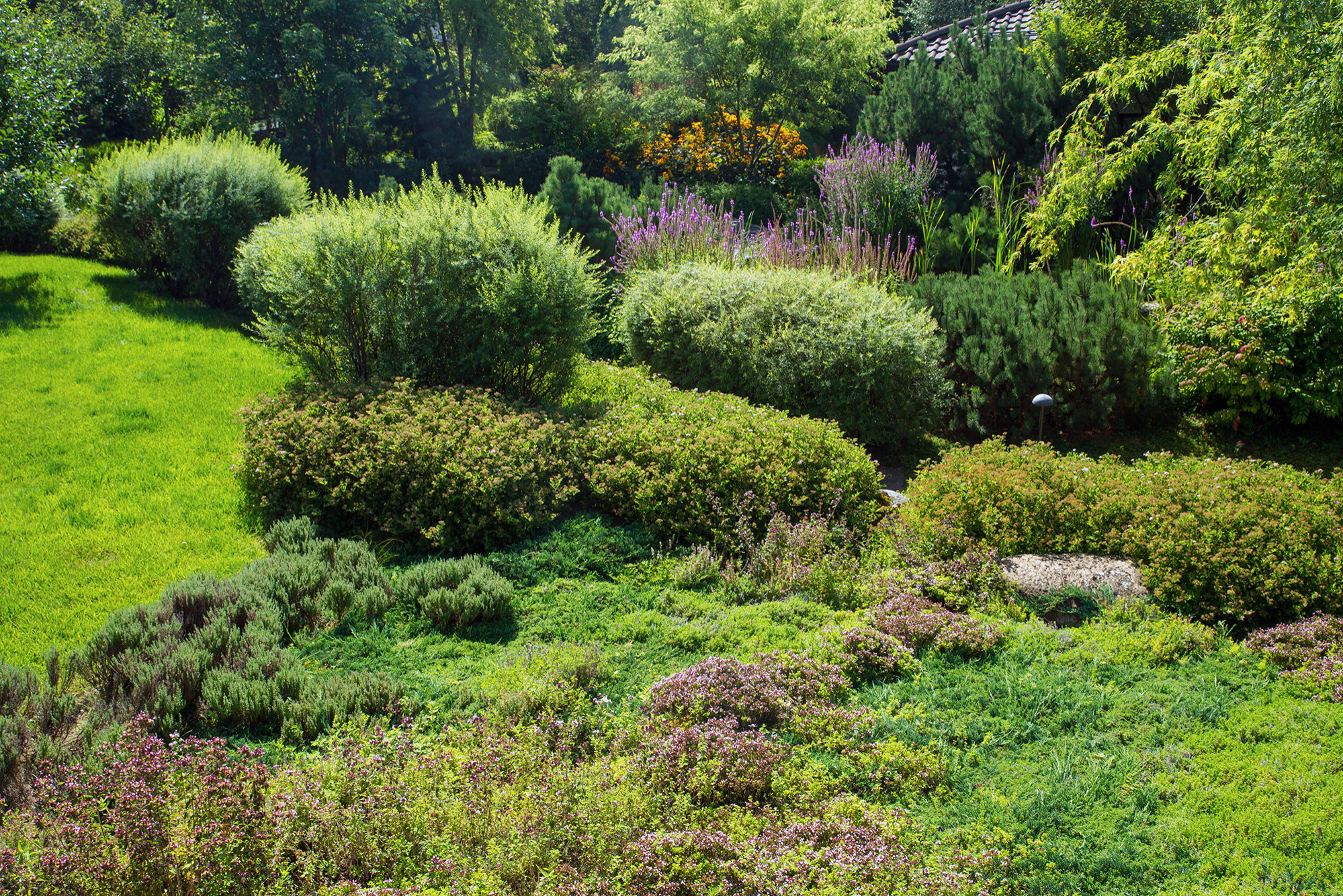 До и после: Сад с большим уклоном
