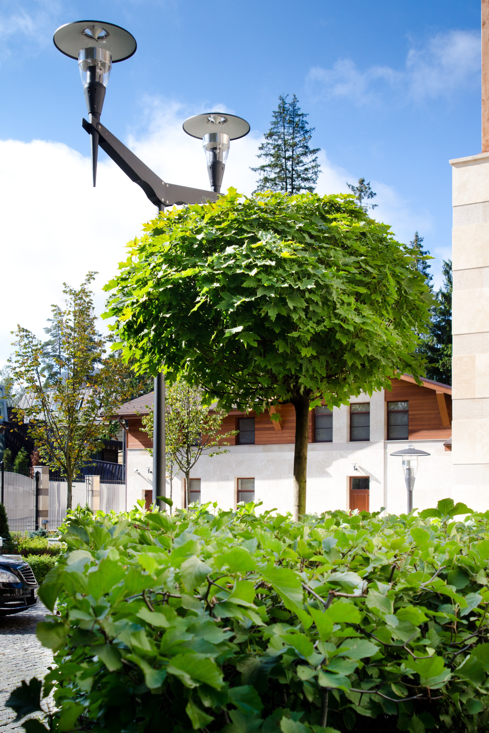 Проект недели: Регулярный и пейзажный сад на лесном участке