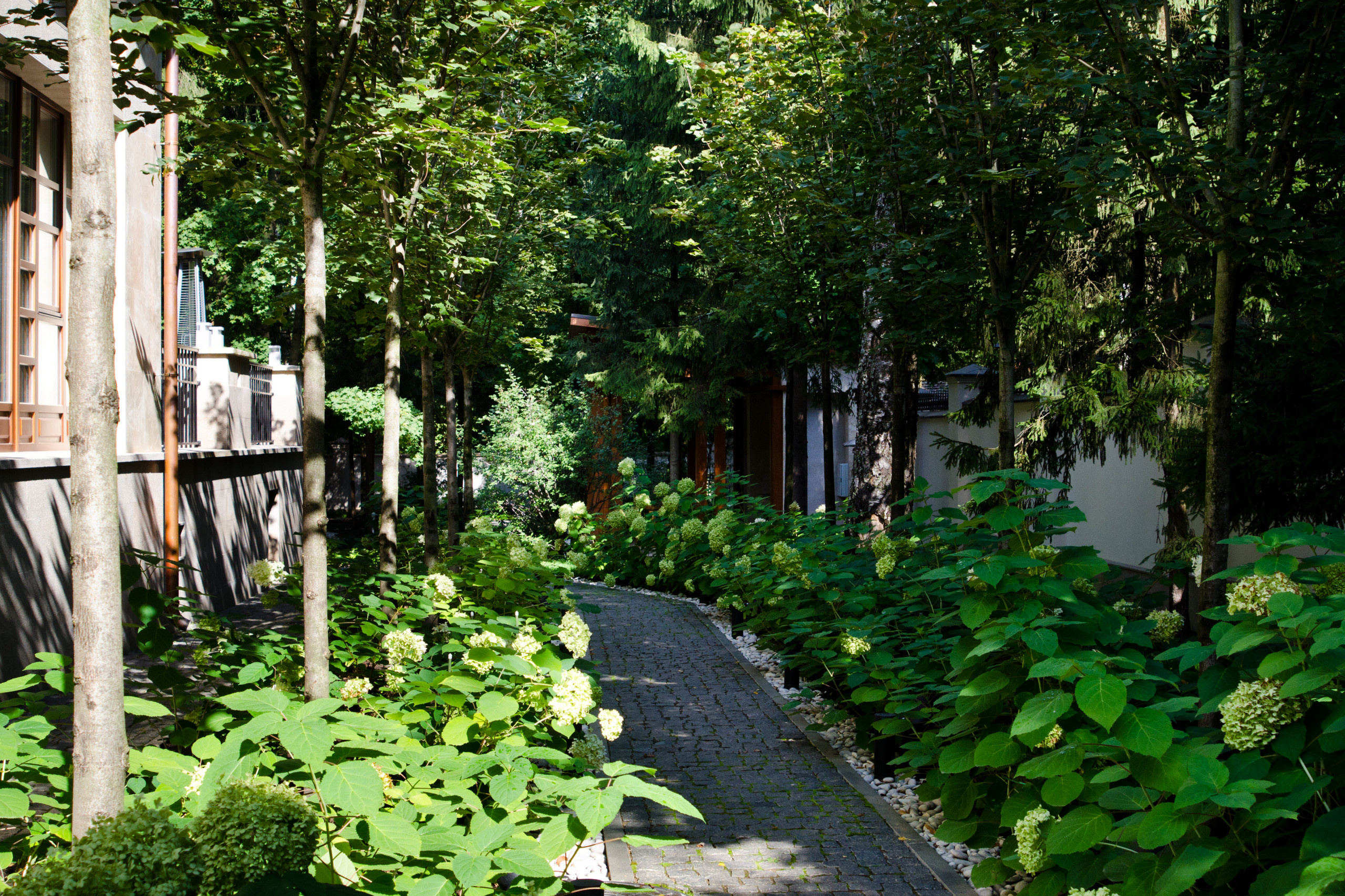 Проект недели: Регулярный и пейзажный сад на лесном участке