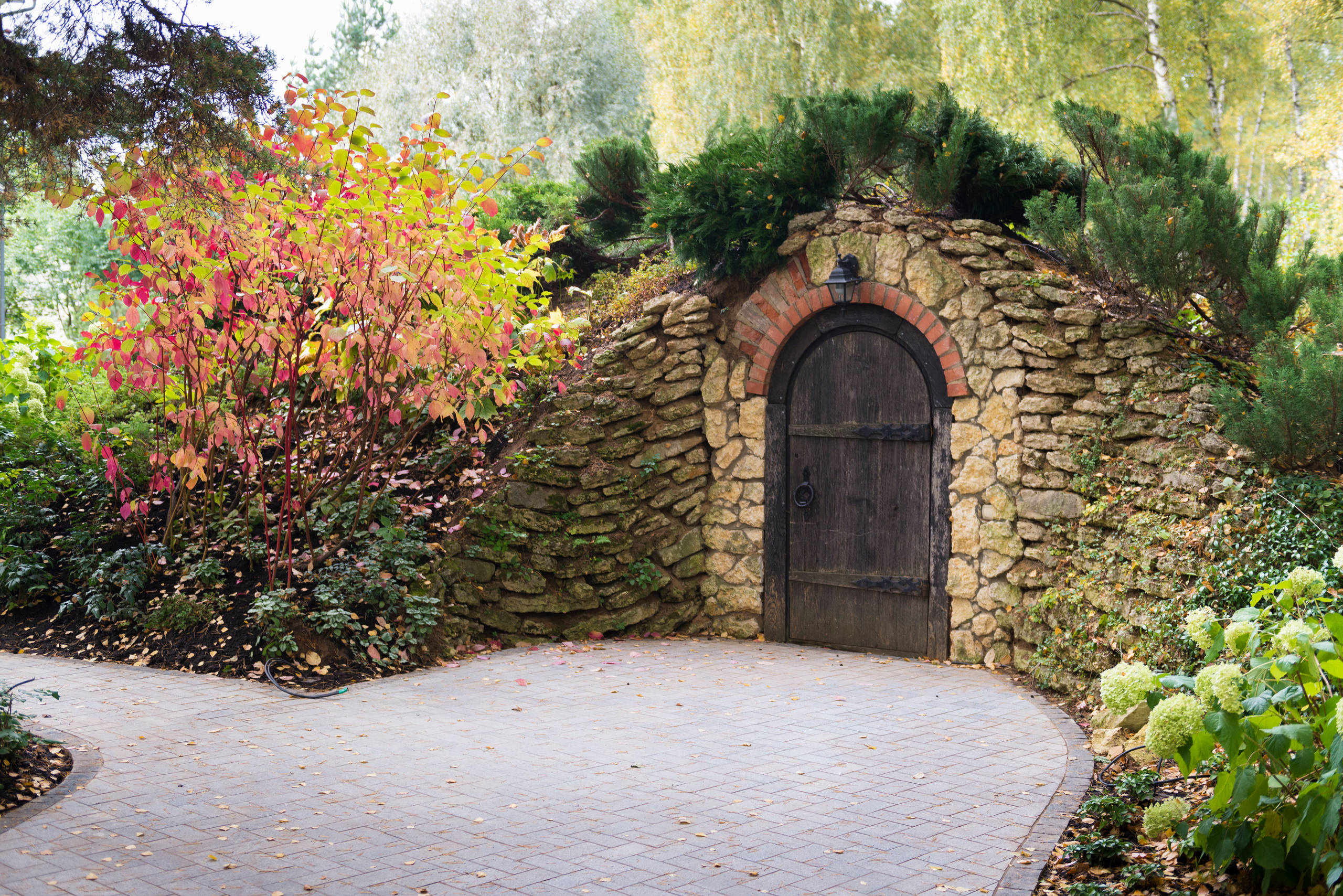 Как правильно: Спрятать некрасивый забор