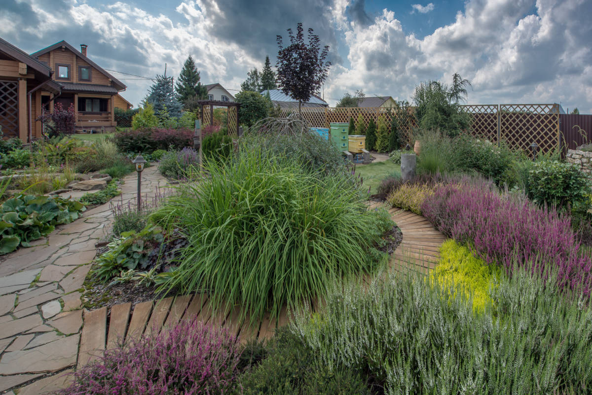 Сад недели: с вересками, злаками и лесной зоной