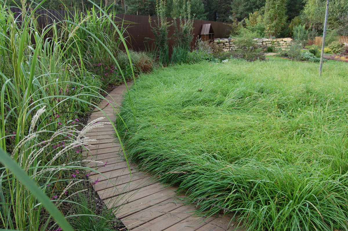 Сад недели: с вересками, злаками и лесной зоной
