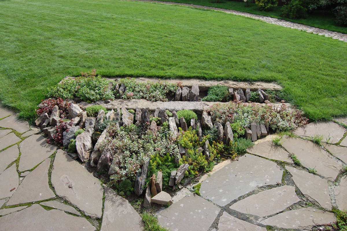 Сад недели: с вересками, злаками и лесной зоной