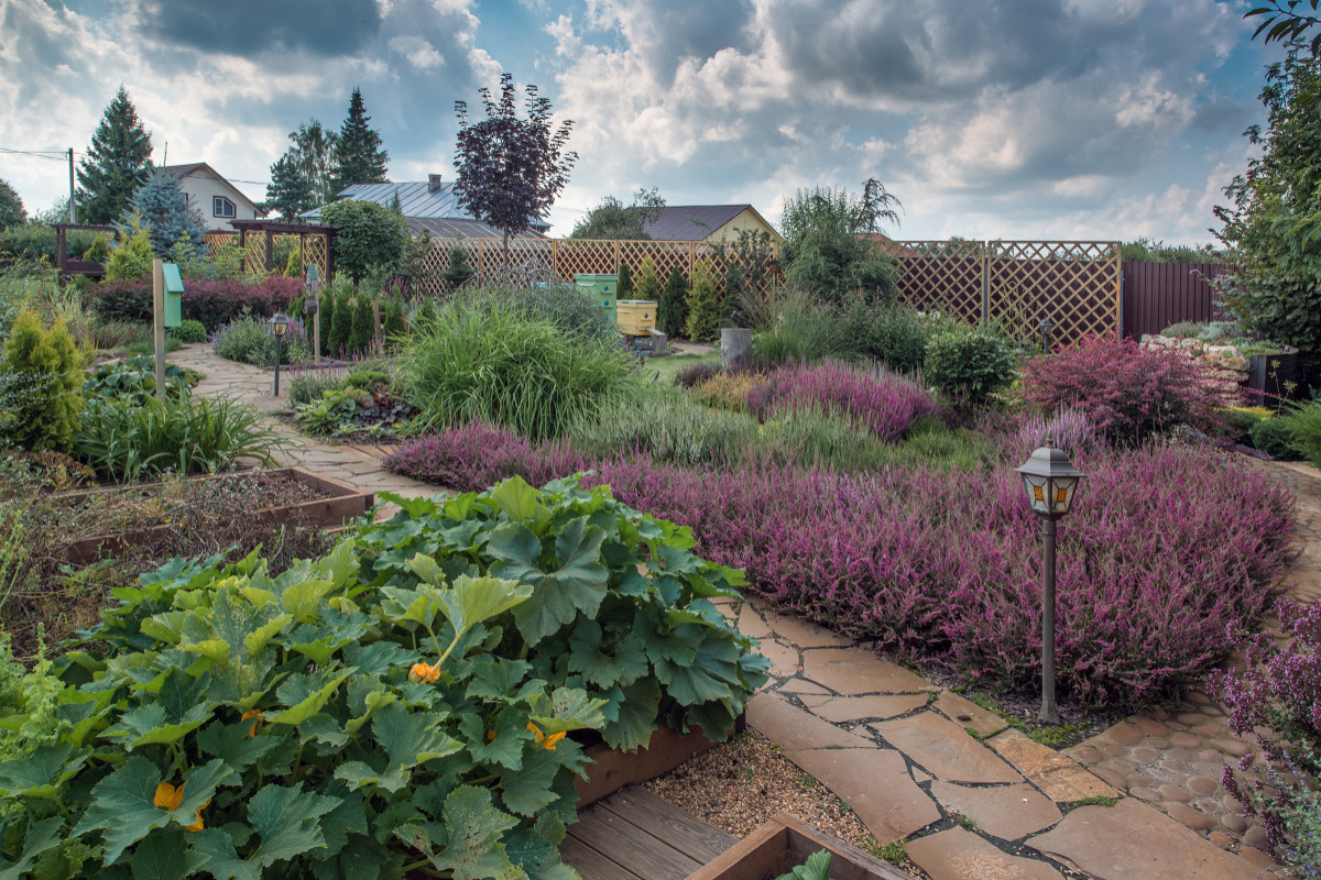 Сад недели: с вересками, злаками и лесной зоной