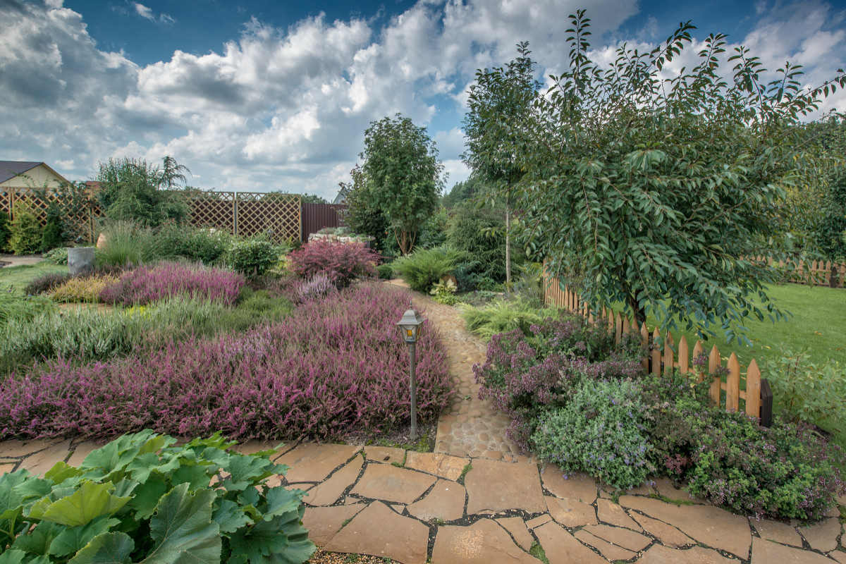 Сад недели: с вересками, злаками и лесной зоной