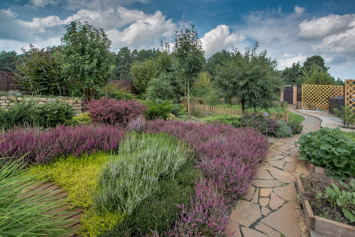 Сад недели: с вересками, злаками и лесной зоной