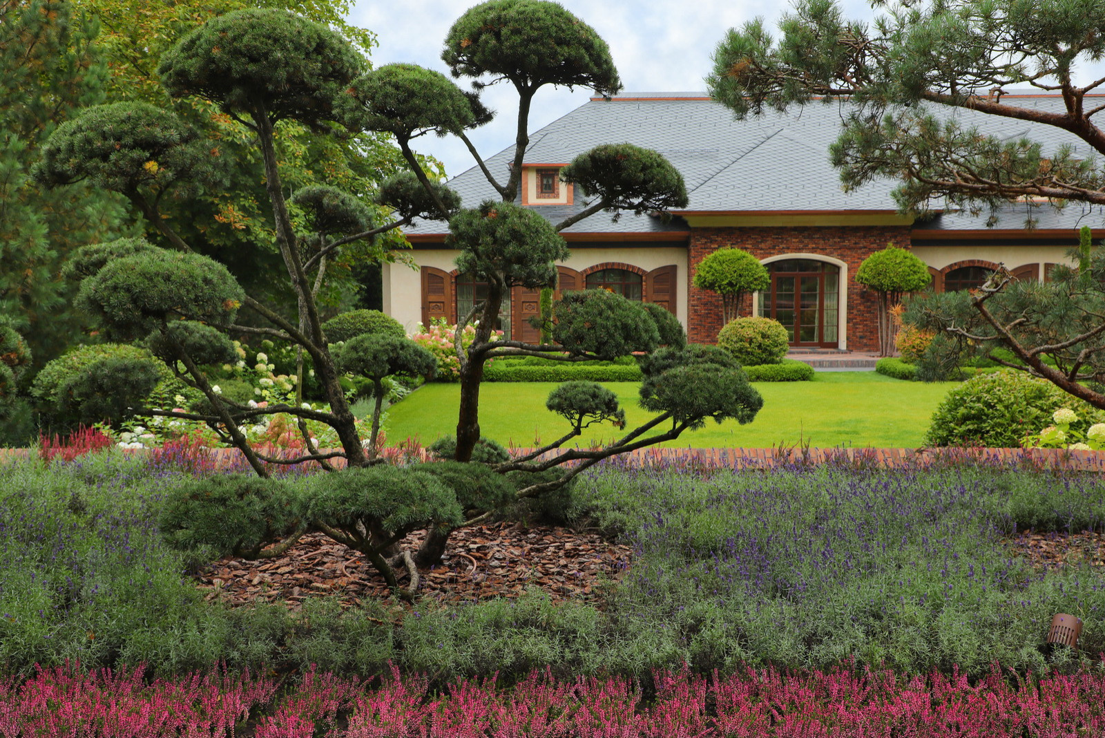 Почему так: Один сад выглядит дорого, а другой — нет