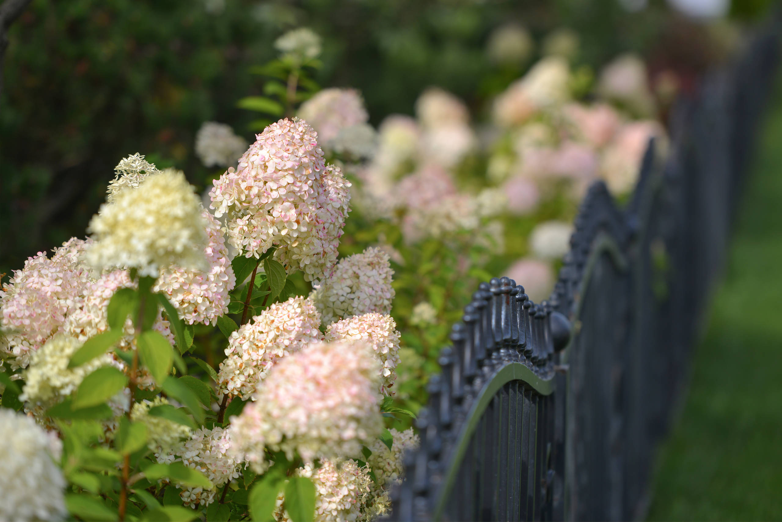 Проект недели: Сад, где любуются просторами от восхода до заката