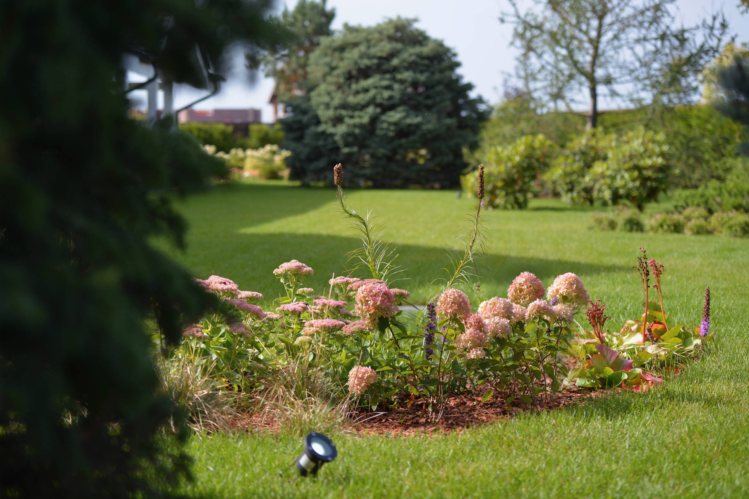 Проект недели: Сад, где любуются просторами от восхода до заката