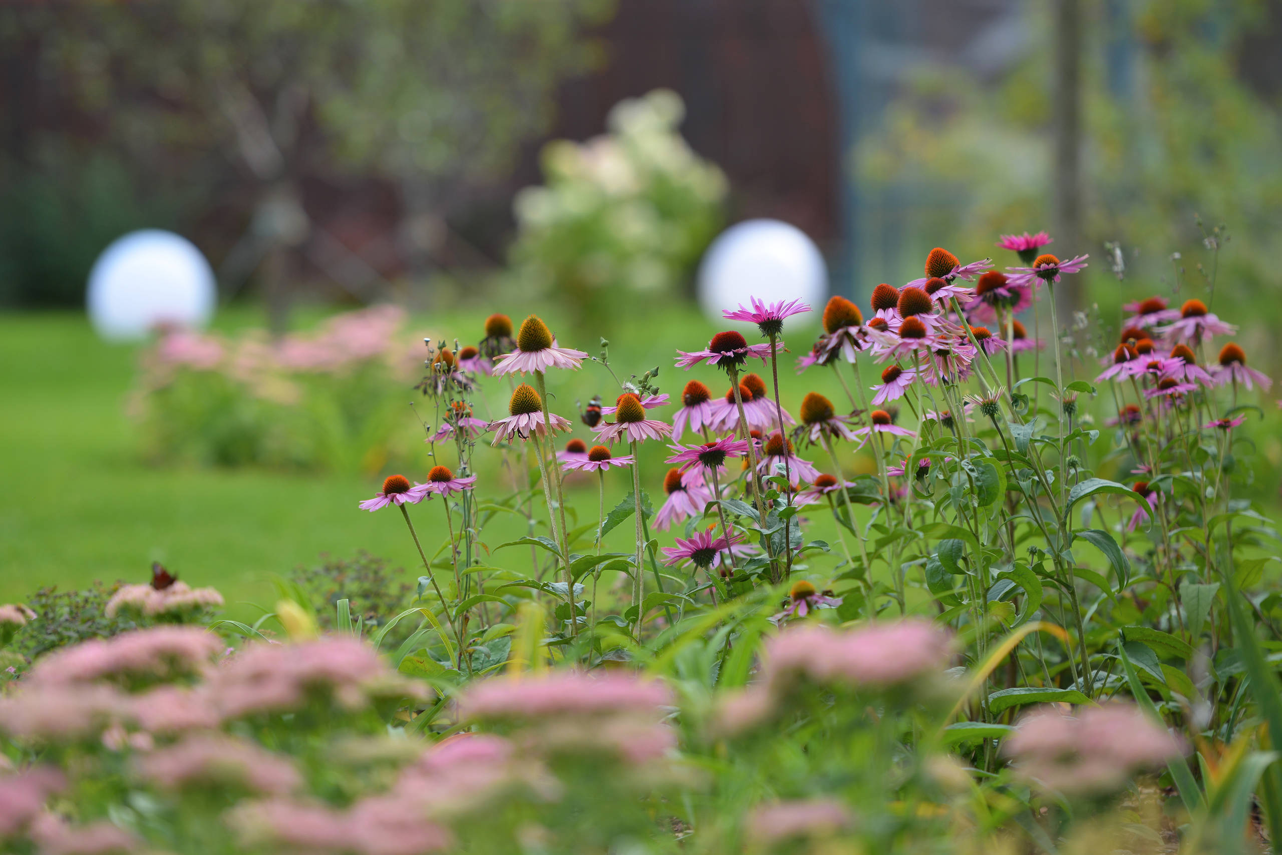 Проект недели: Сад, где любуются просторами от восхода до заката
