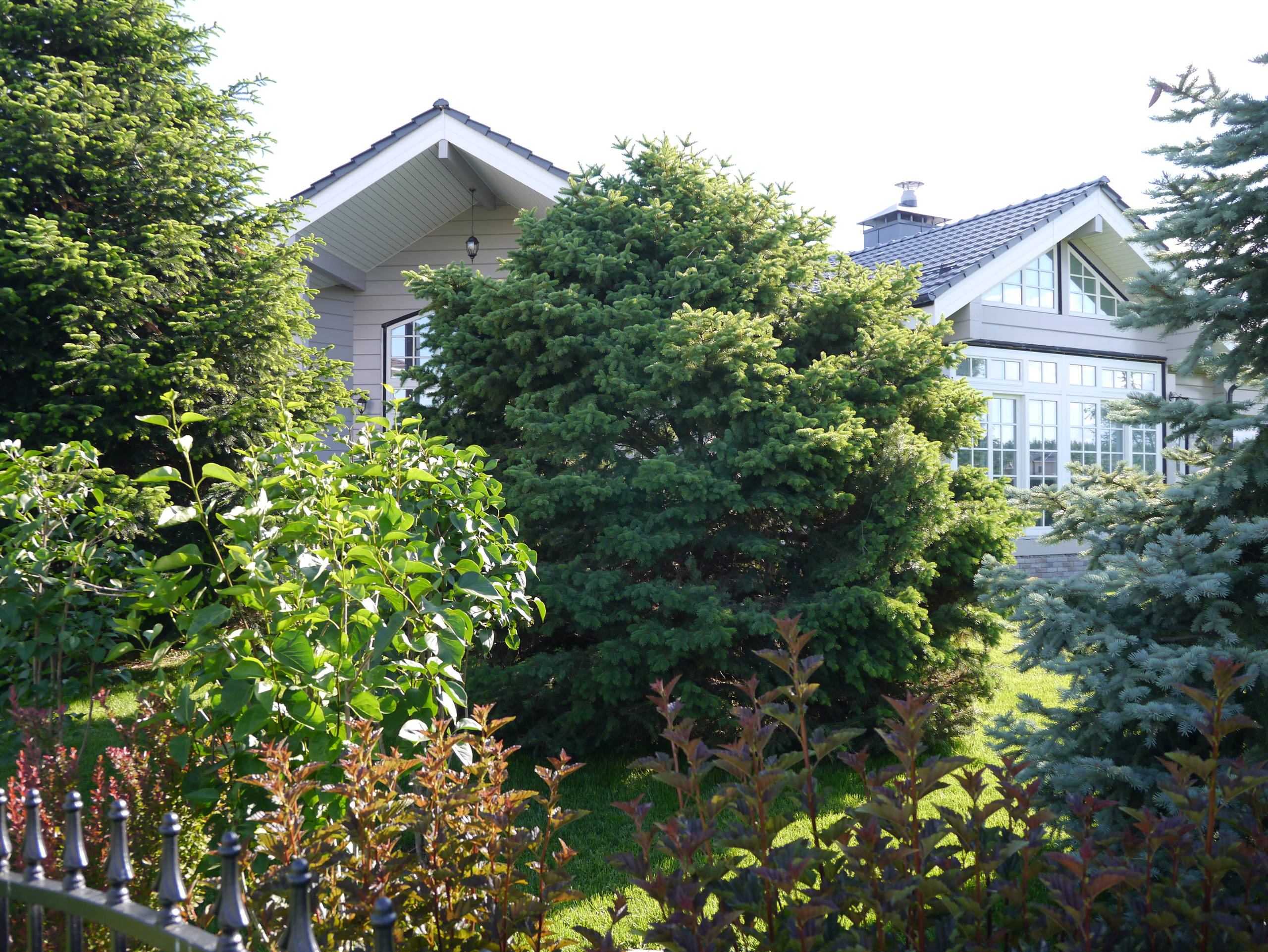 Проект недели: Сад, где любуются просторами от восхода до заката