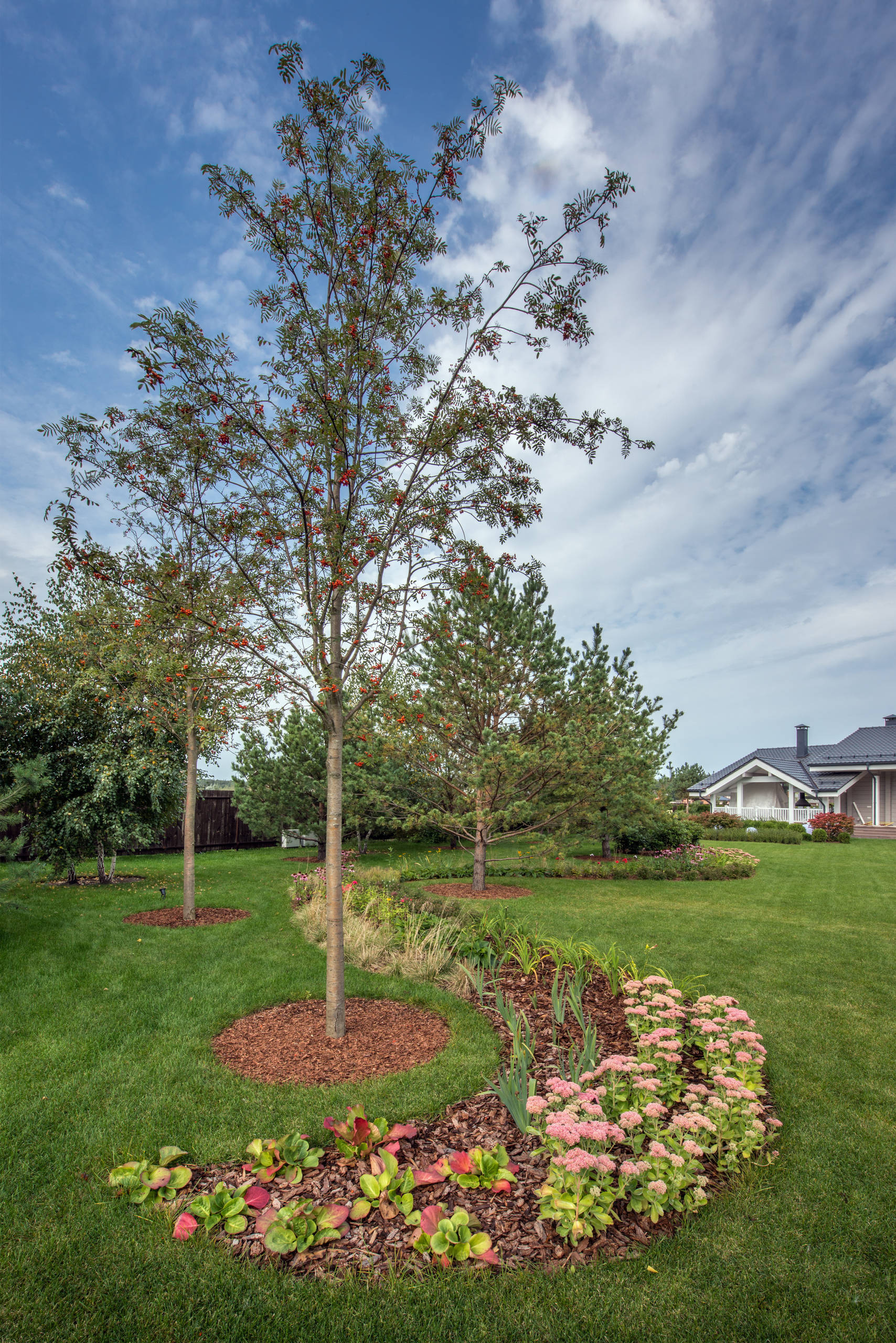 Проект недели: Сад, где любуются просторами от восхода до заката