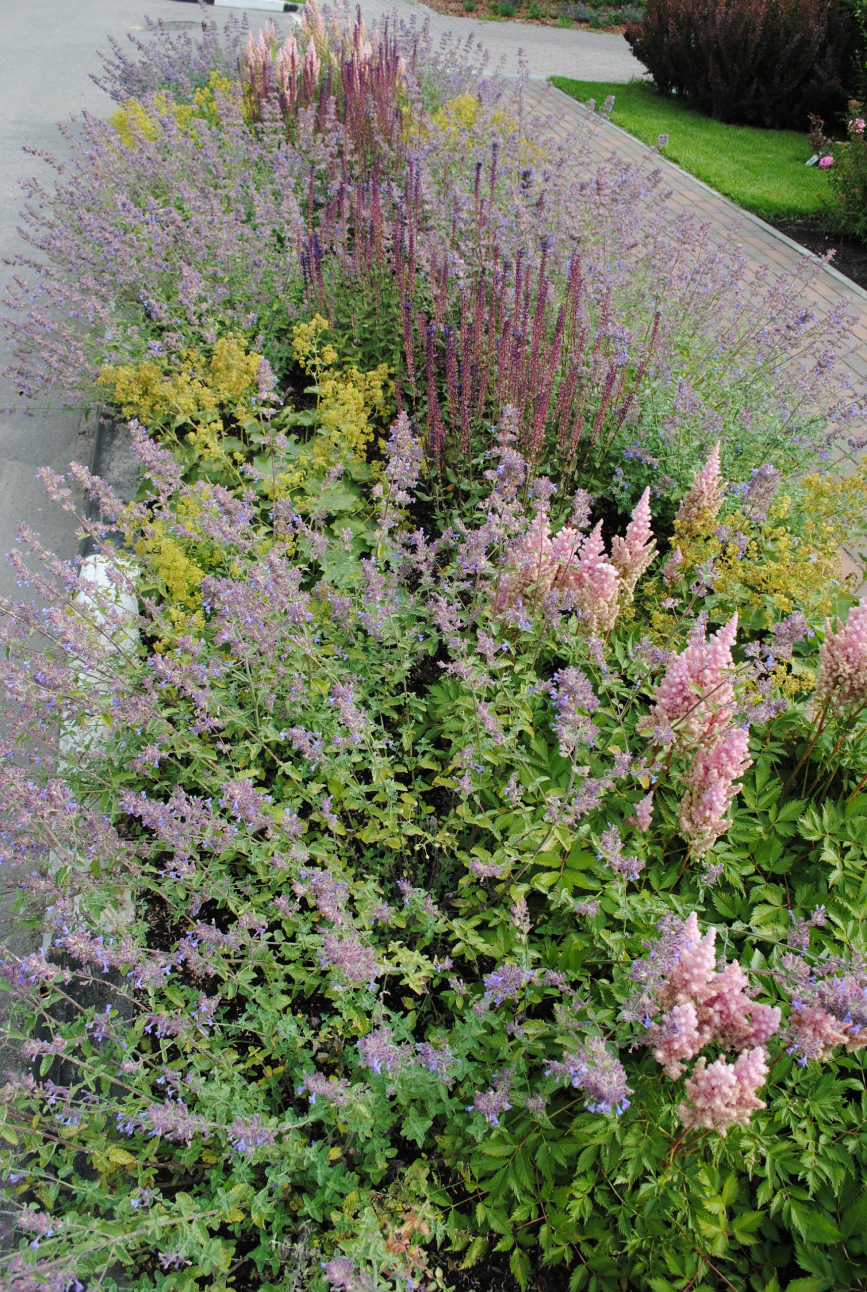 До и после: 9 соток — сад у смежных таунхаусов