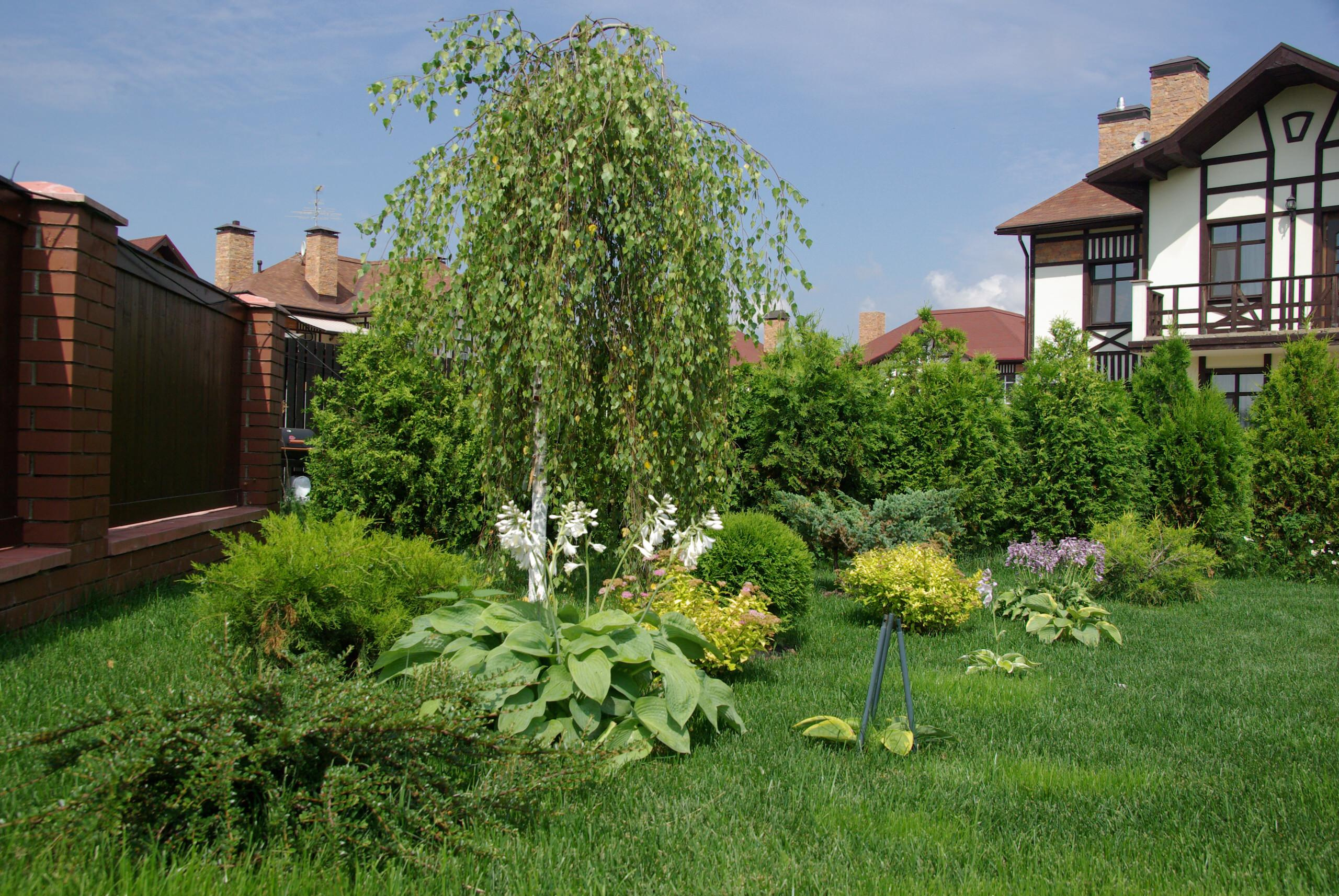 Как правильно: Выбрать деревья для будущего сада