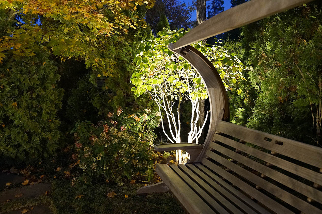 Принцип «изюм и тесто»: Как выбирать растения для сада