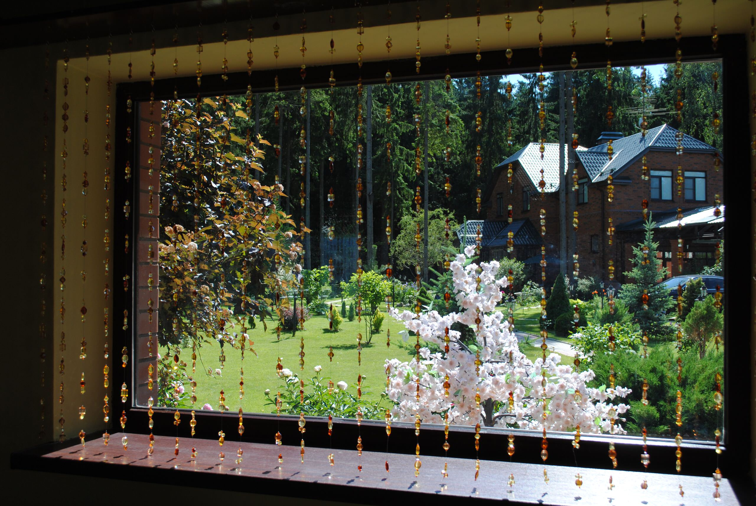 Просто фото: Ого, какие шторы