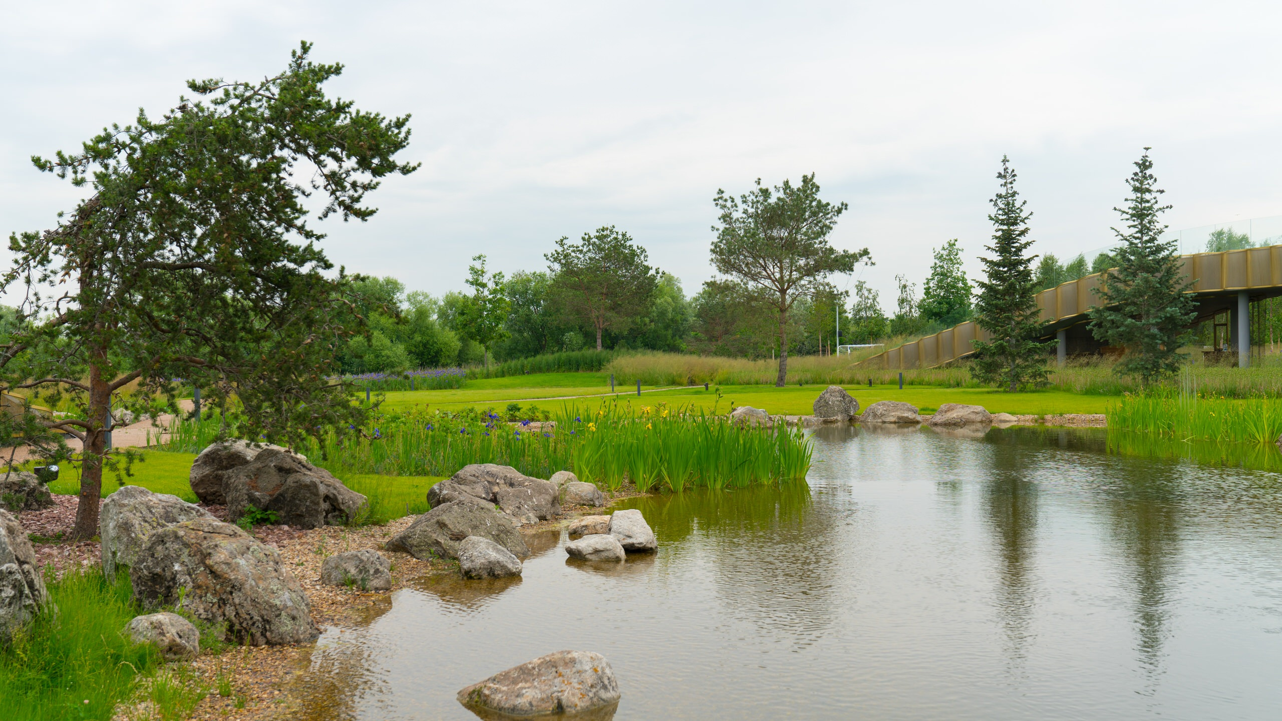 Как правильно: Отвести лишнюю воду с участка