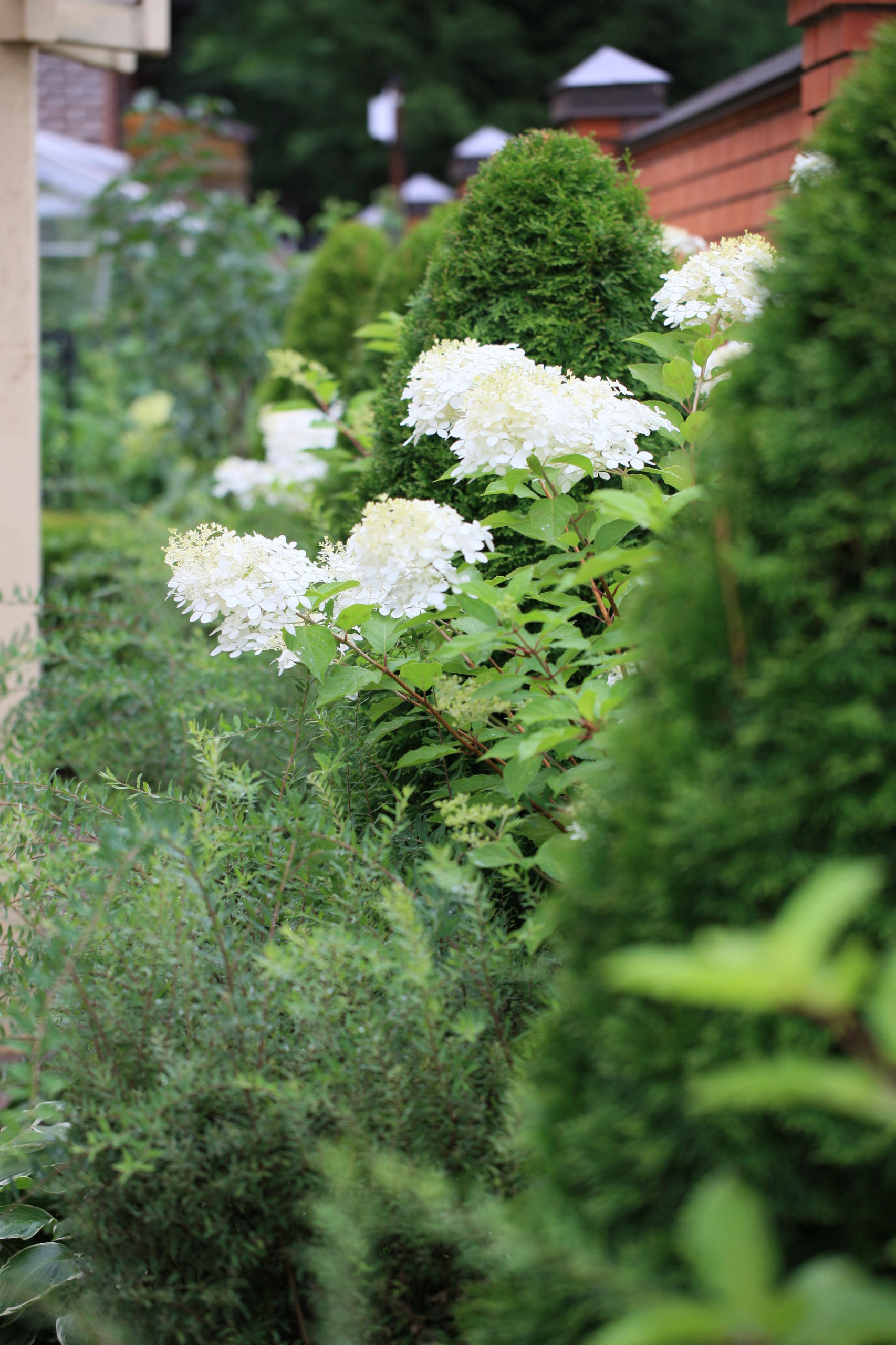 В гостях: Сад на 14 сотках, где живут круглый год