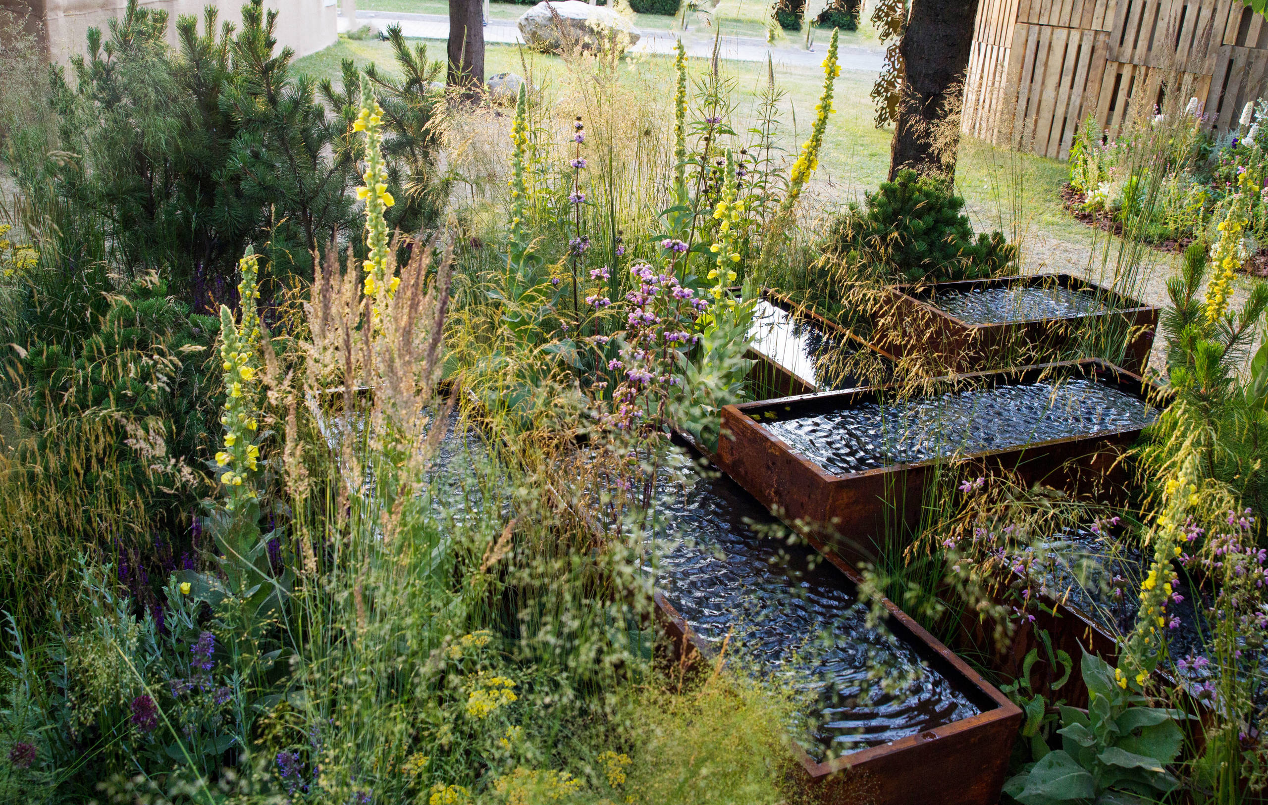 Проект недели: Английский сад о звуке, удивившем мир садоводства