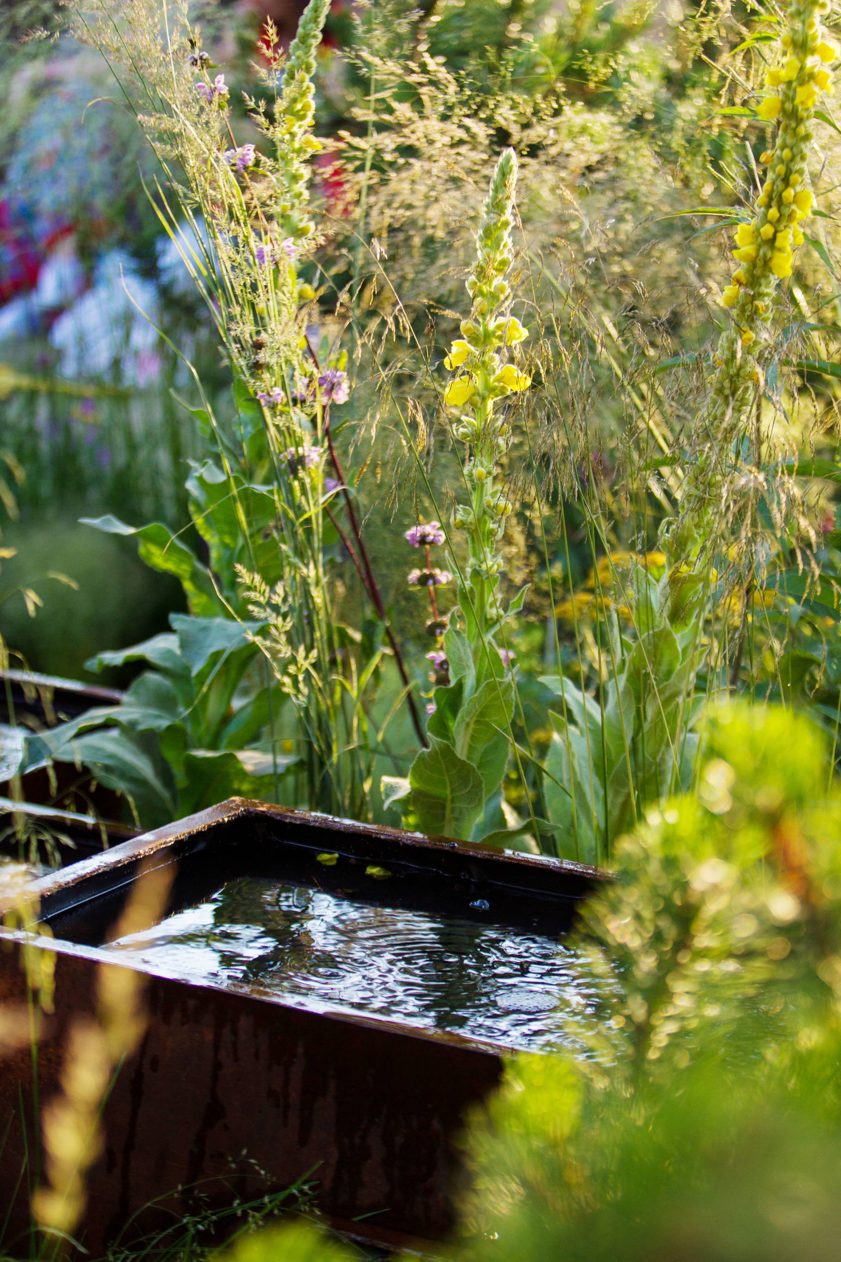 Дизайн-дебаты: Существуют ли недорогие ландшафтные стили