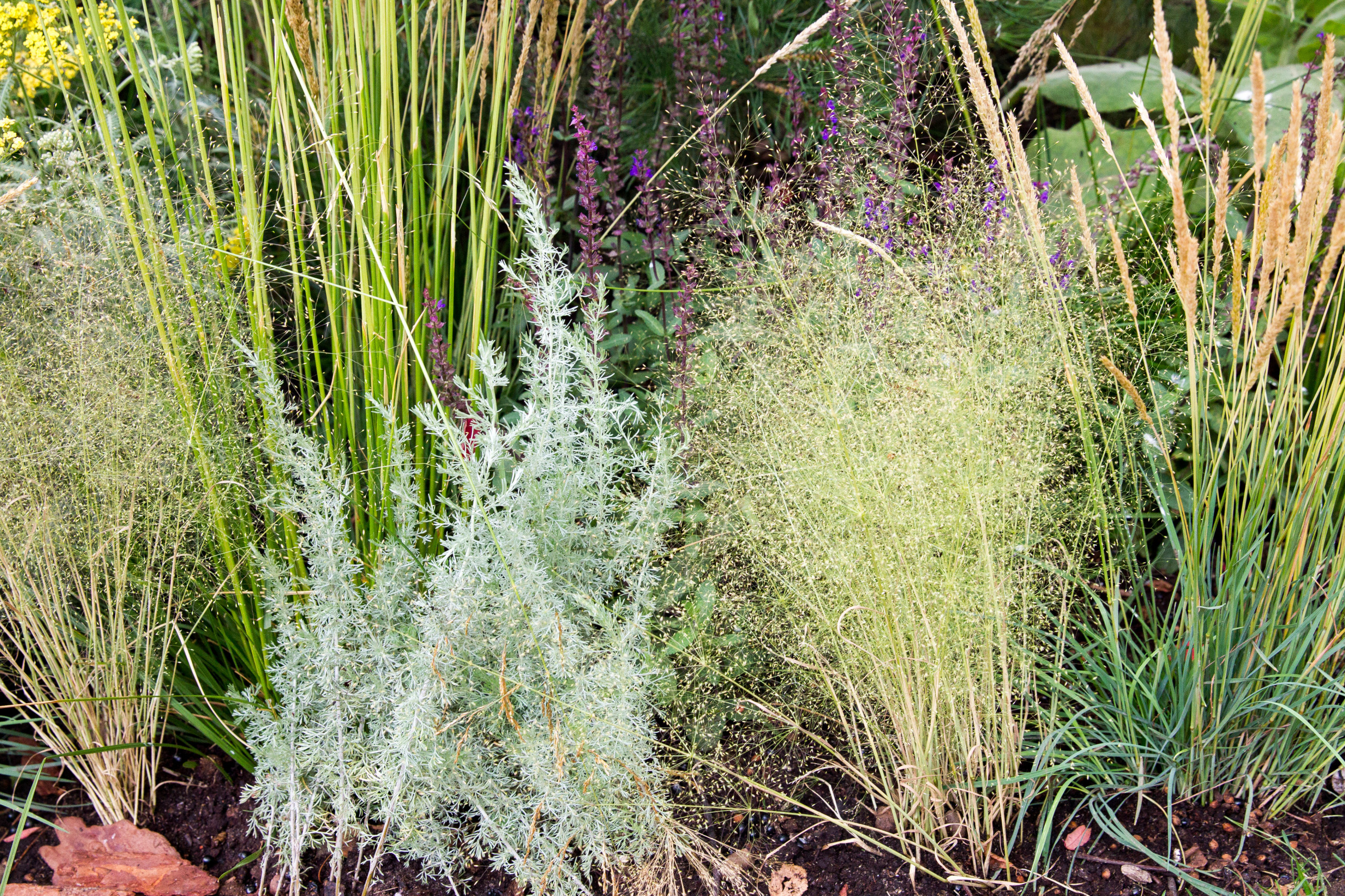 Проект недели: Английский сад о звуке, удивившем мир садоводства