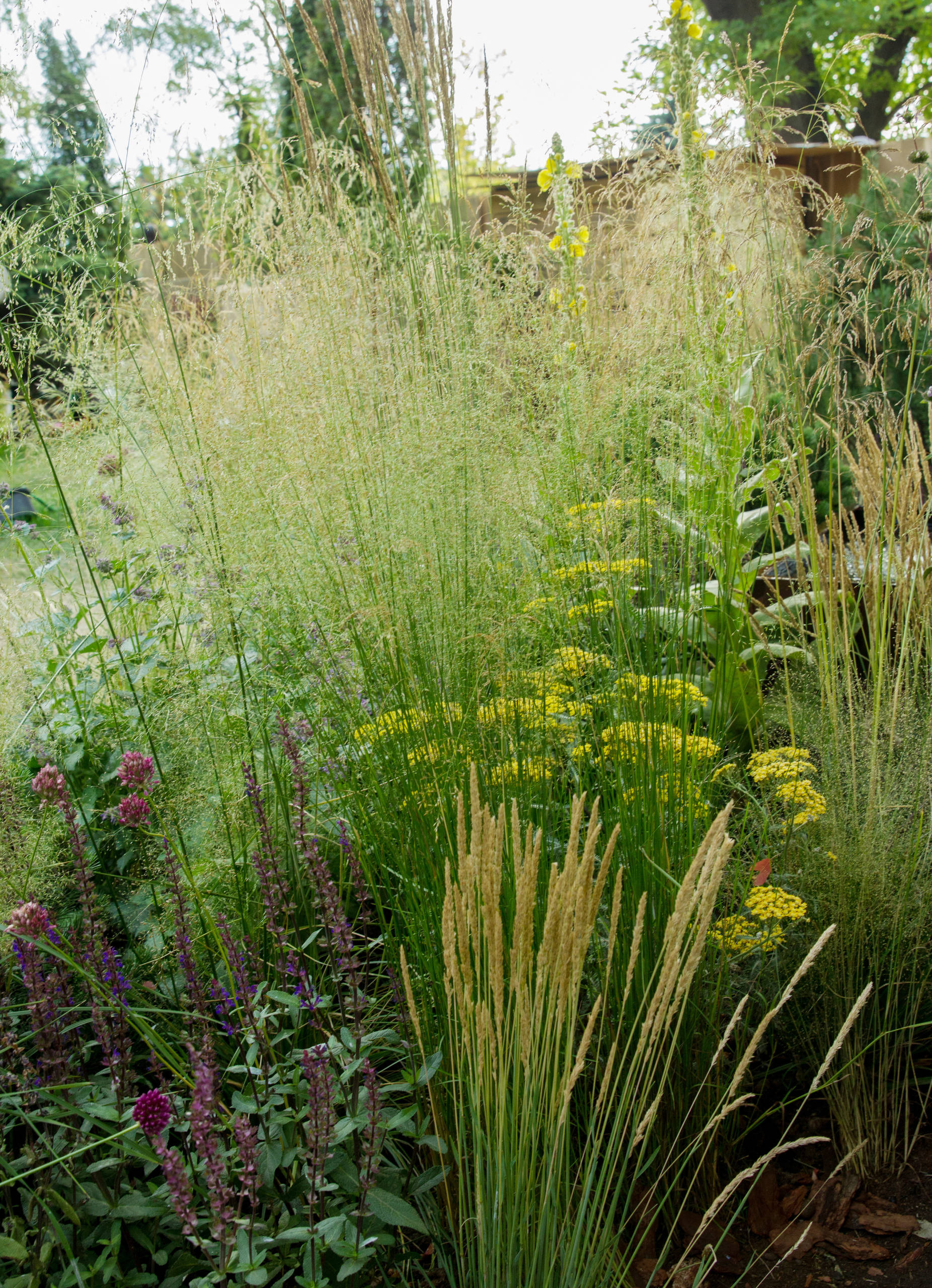 Проект недели: Английский сад о звуке, удивившем мир садоводства