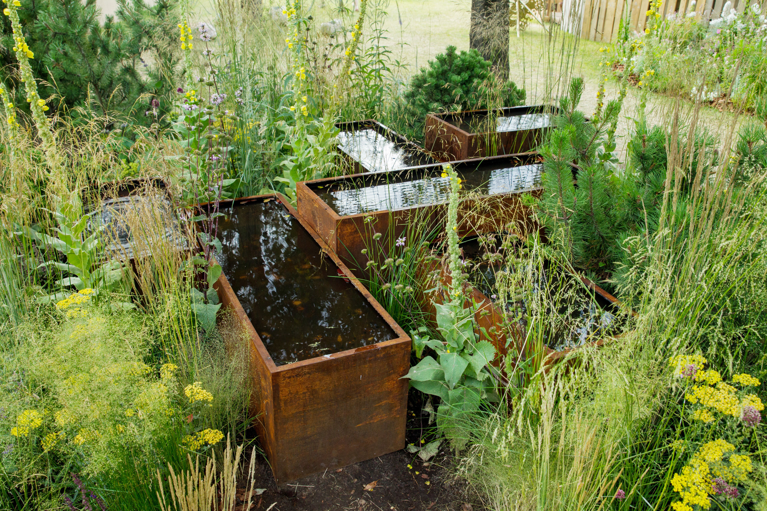 Проект недели: Английский сад о звуке, удивившем мир садоводства