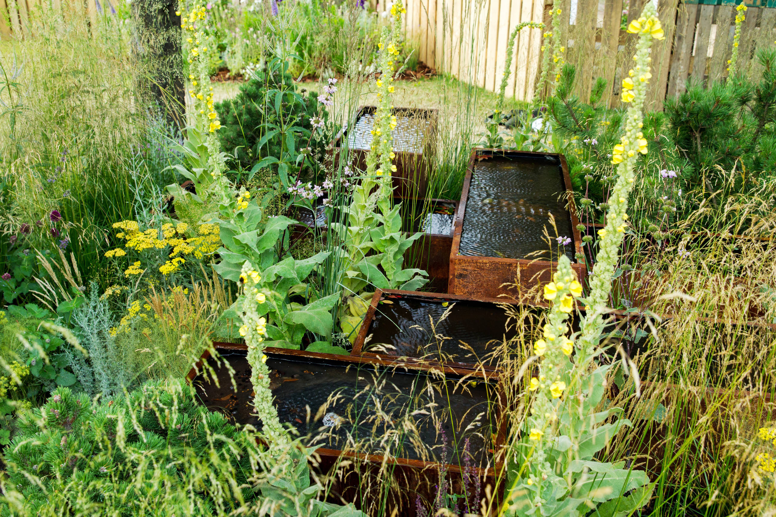 Проект недели: Английский сад о звуке, удивившем мир садоводства