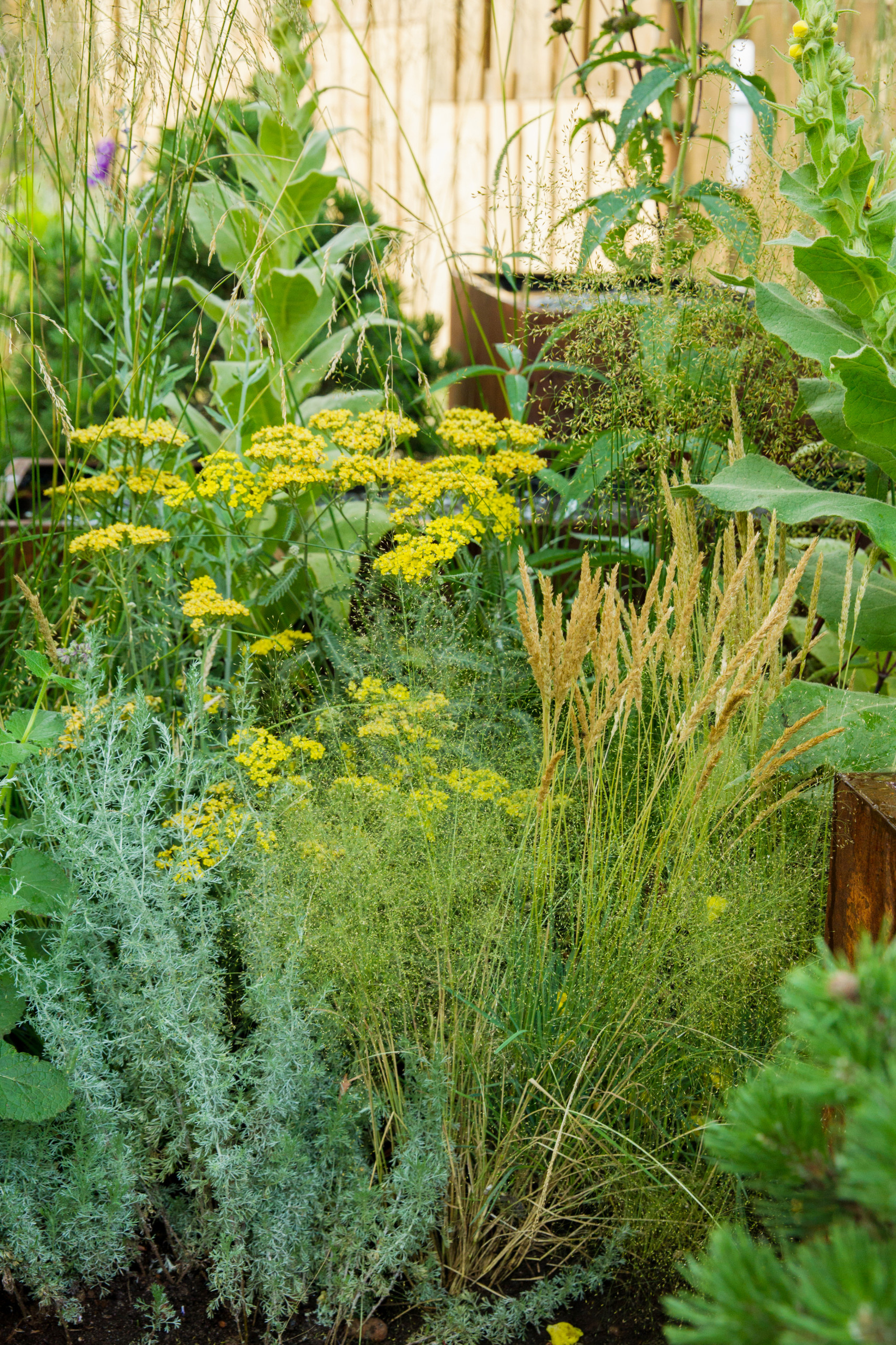 Проект недели: Английский сад о звуке, удивившем мир садоводства