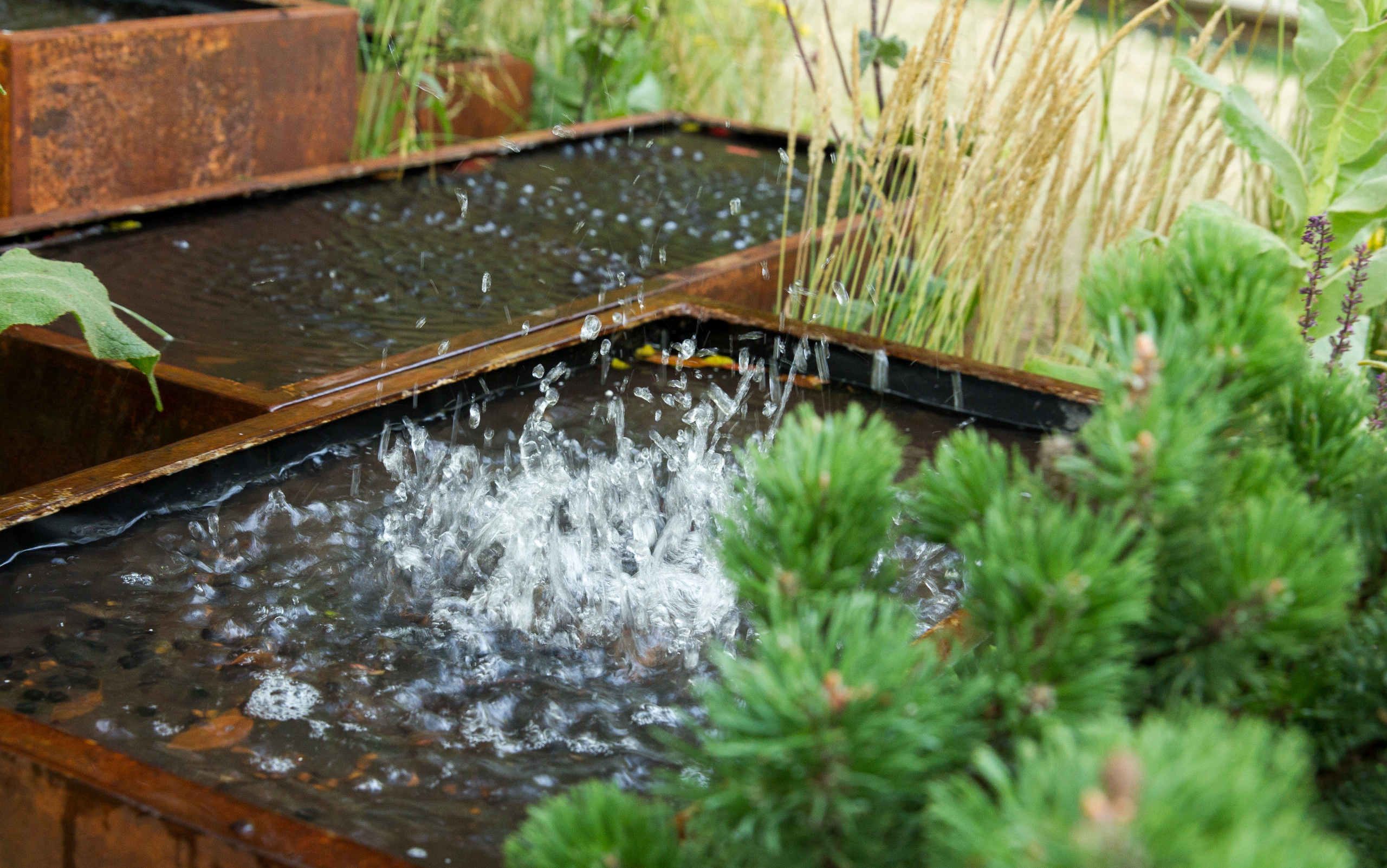 Проект недели: Английский сад о звуке, удивившем мир садоводства