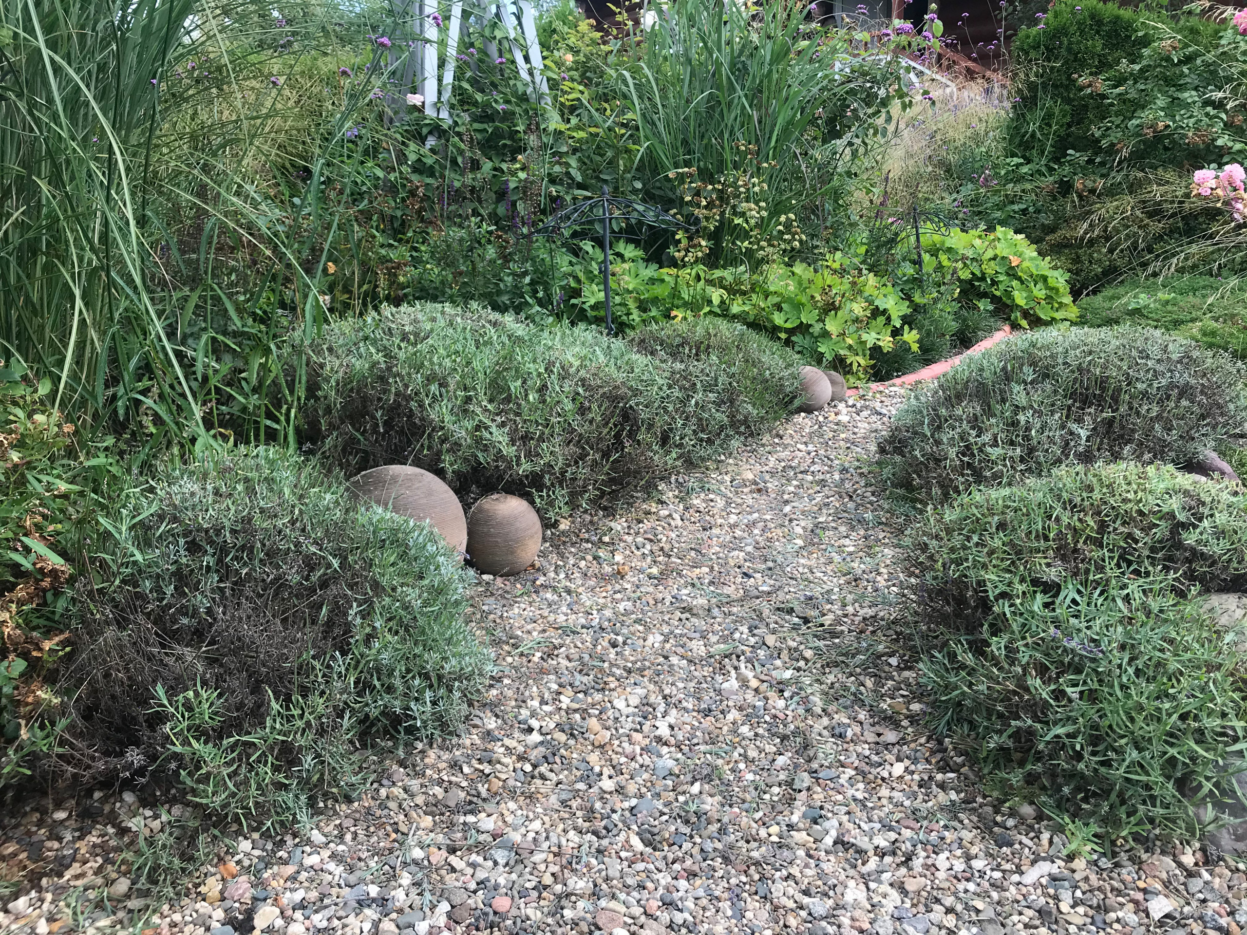 В гостях: Уютный сад с прудом на песках от выгоревшего торфа