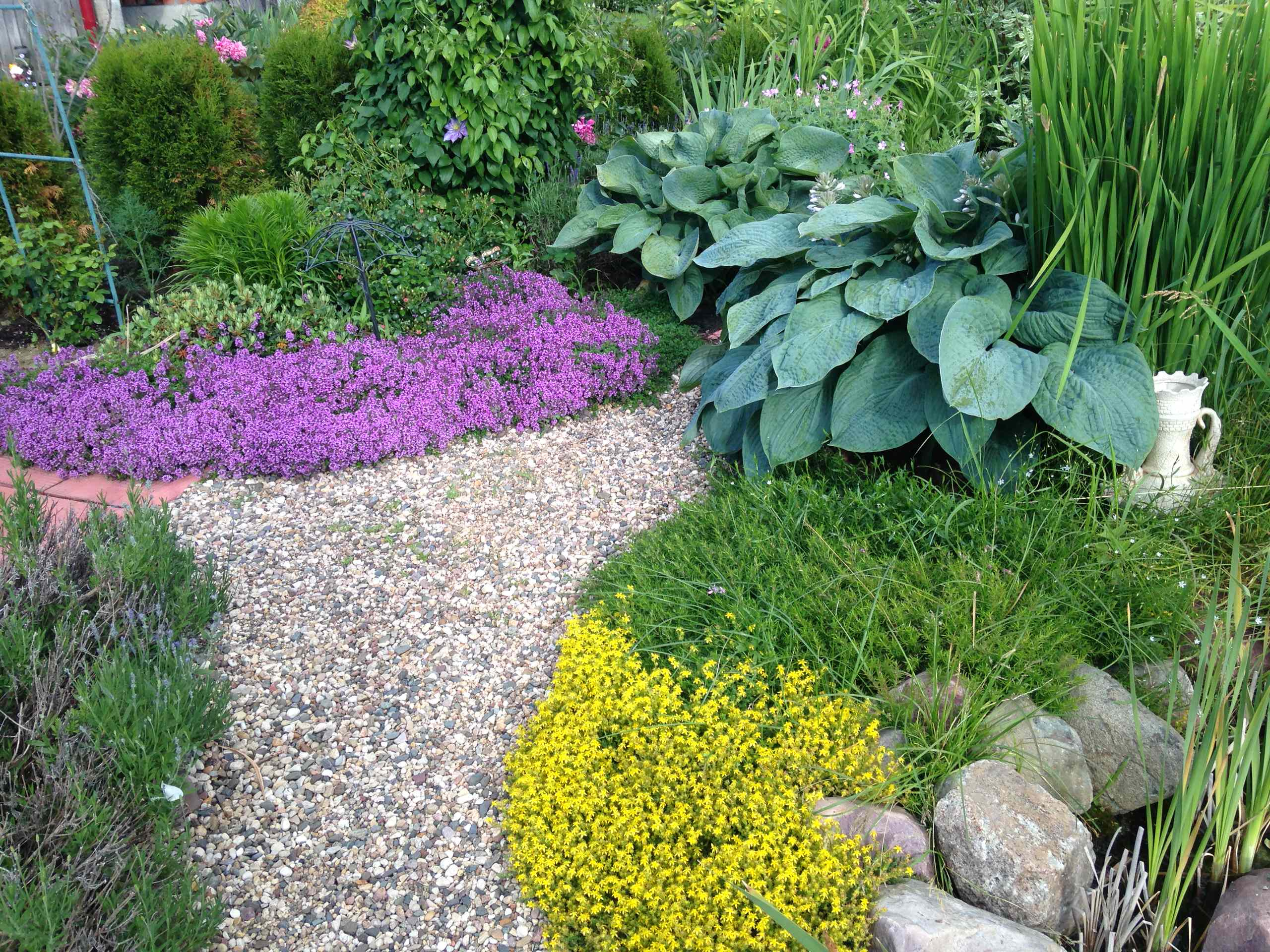 В гостях: Уютный сад с прудом на песках от выгоревшего торфа