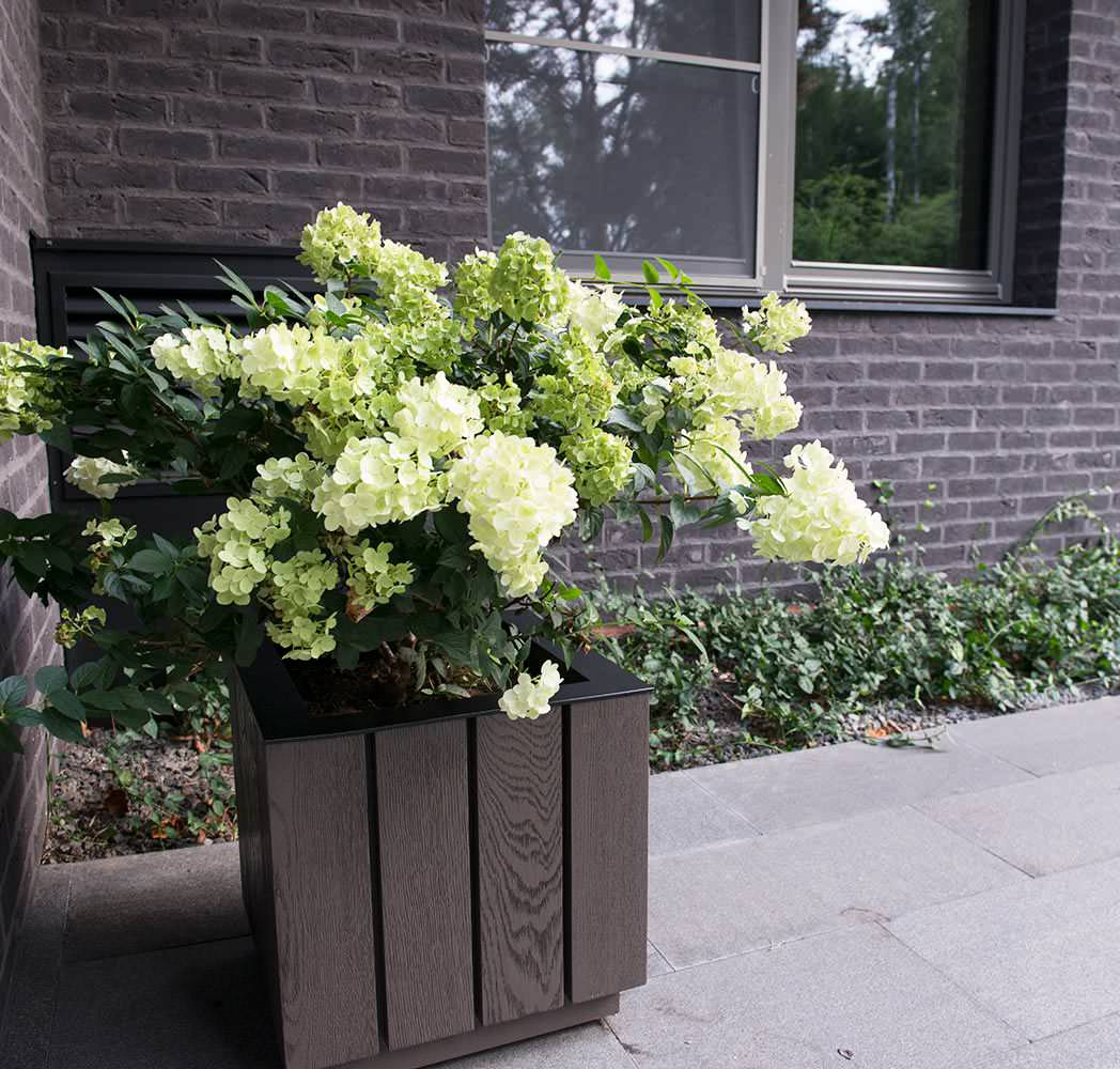 Проект недели: Модернистский сад на нескольких уровнях