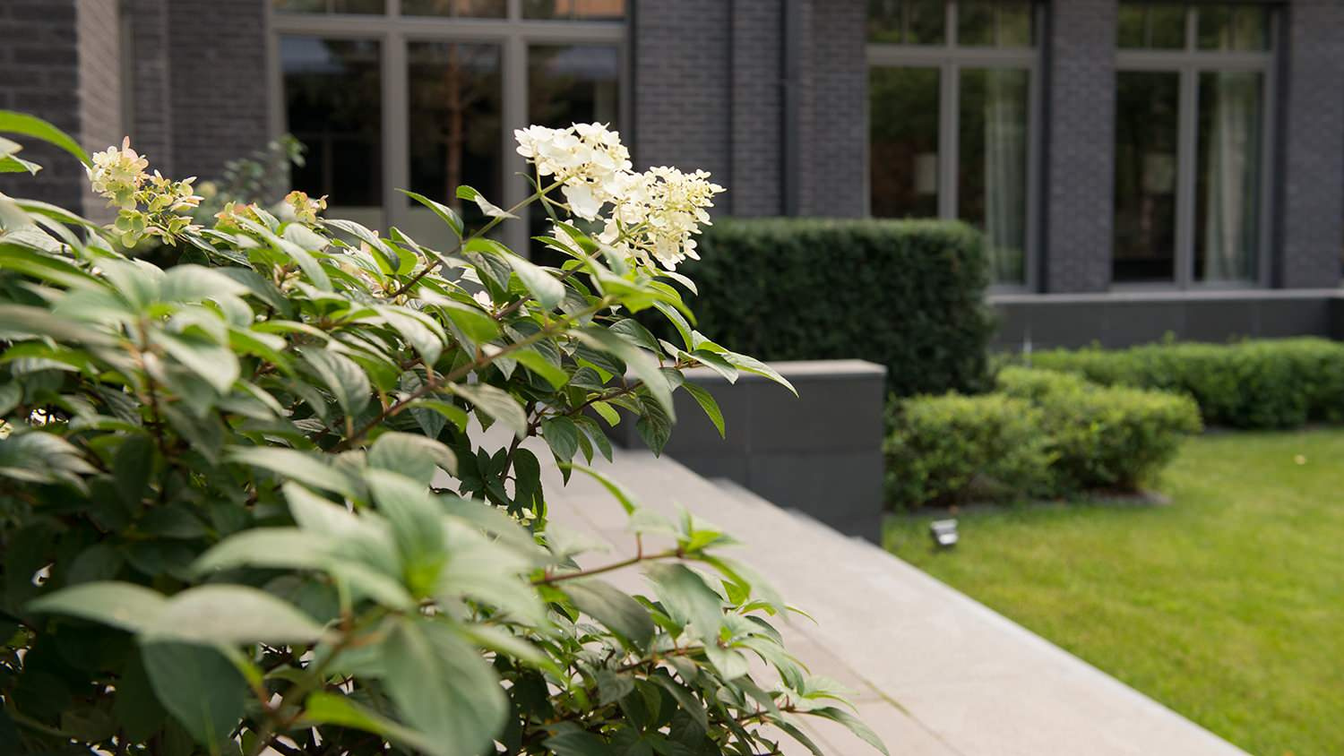 Проект недели: Модернистский сад на нескольких уровнях