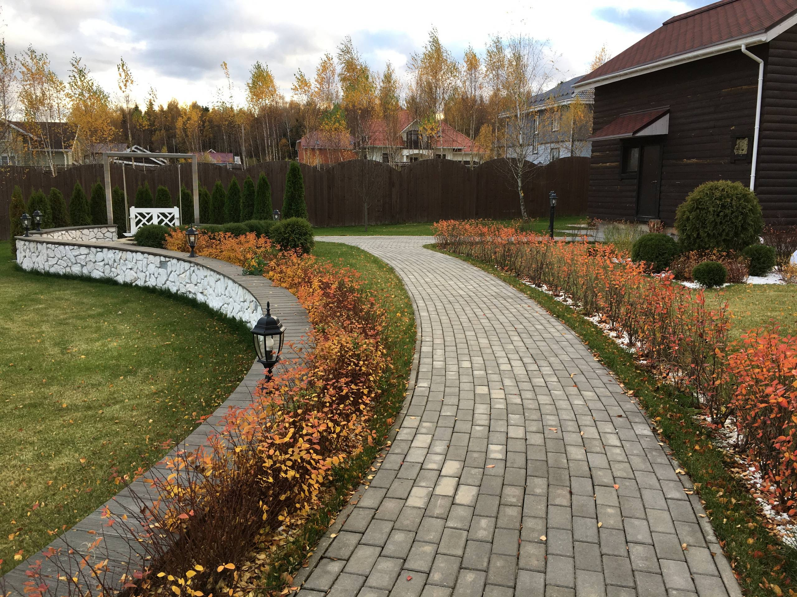 В закладки: Топ-5 растений для стриженого бордюра