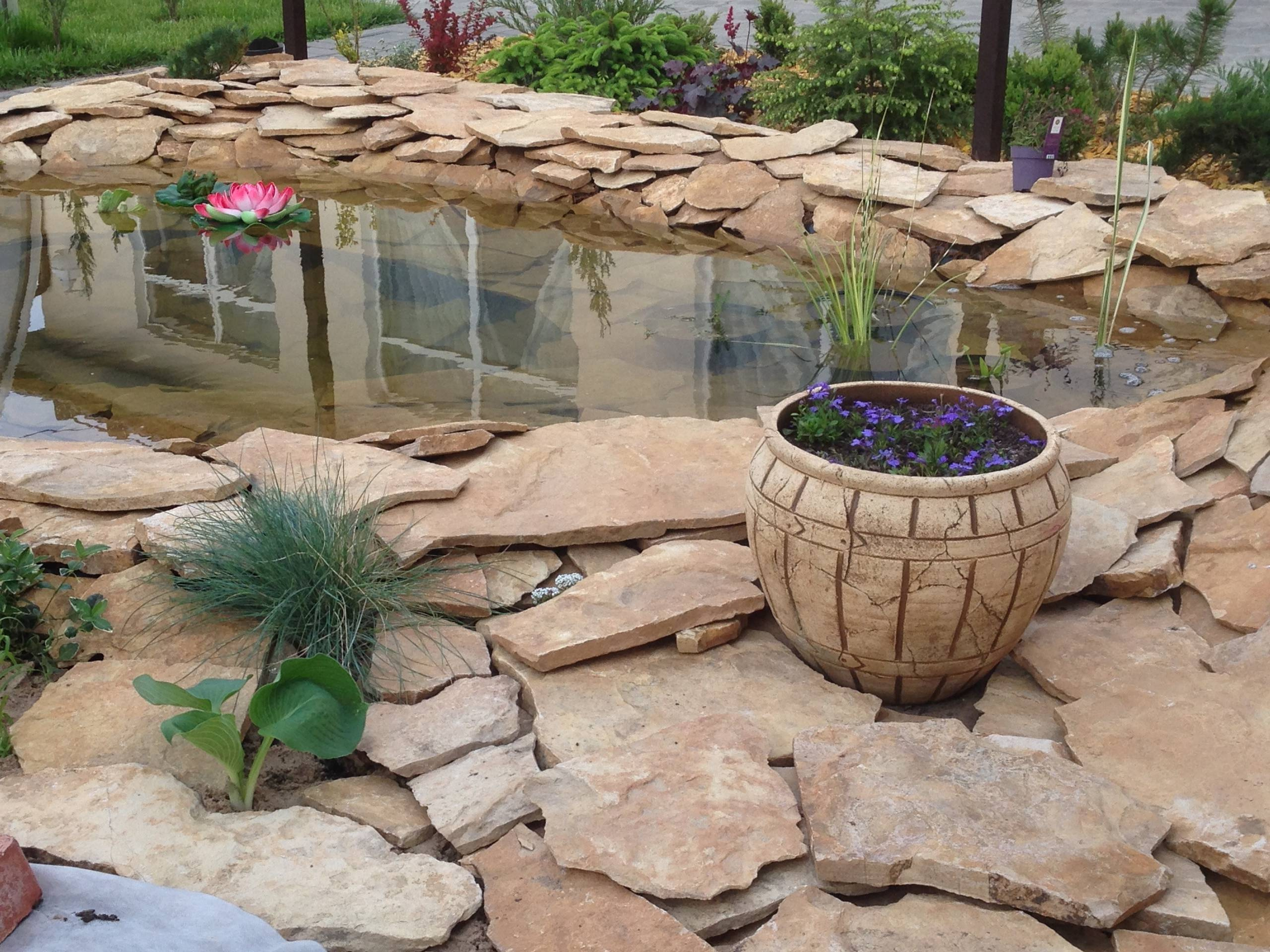 Houzz в саду: Дачный пруд в африканском стиле