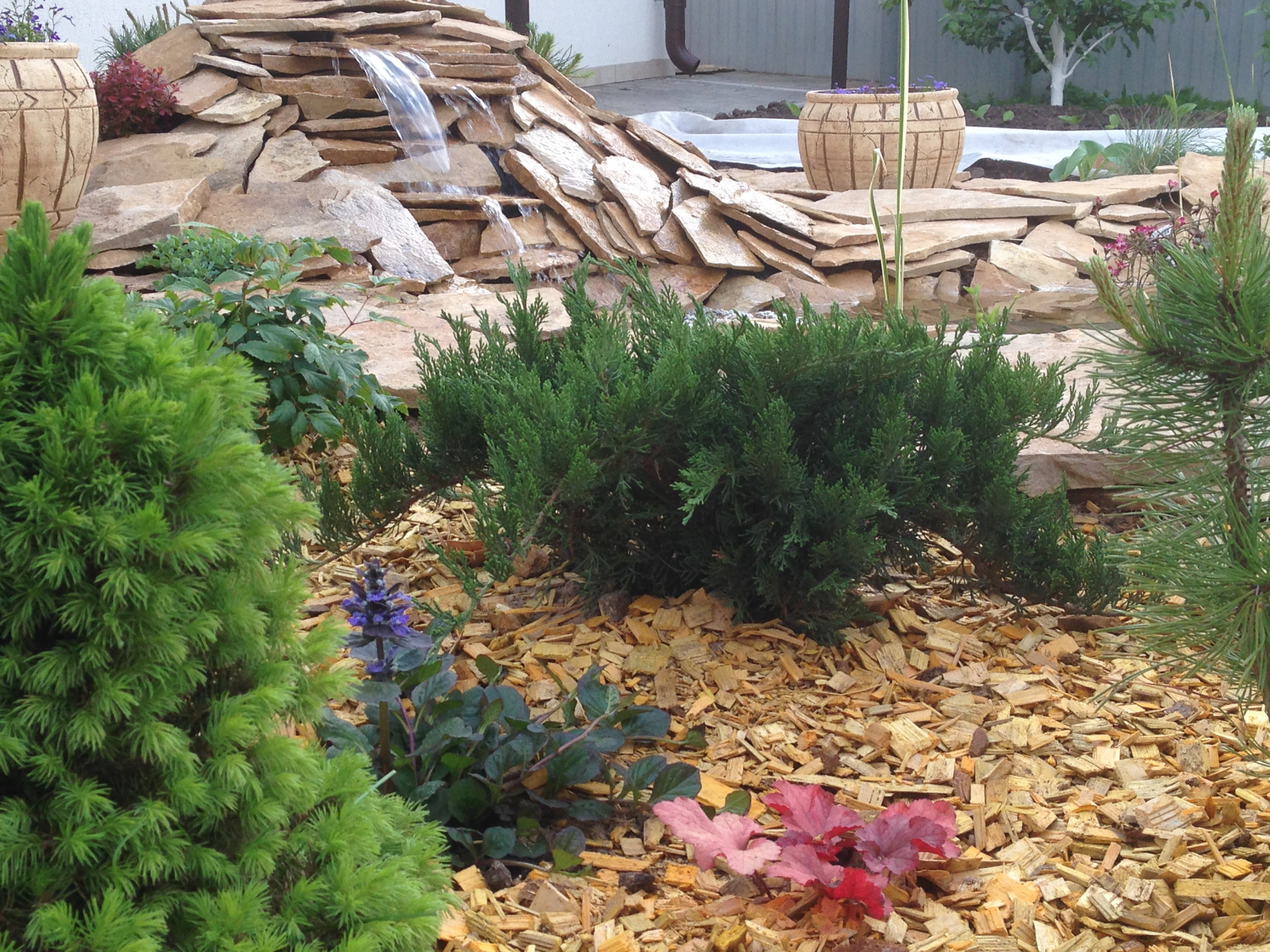 Houzz в саду: Дачный пруд в африканском стиле