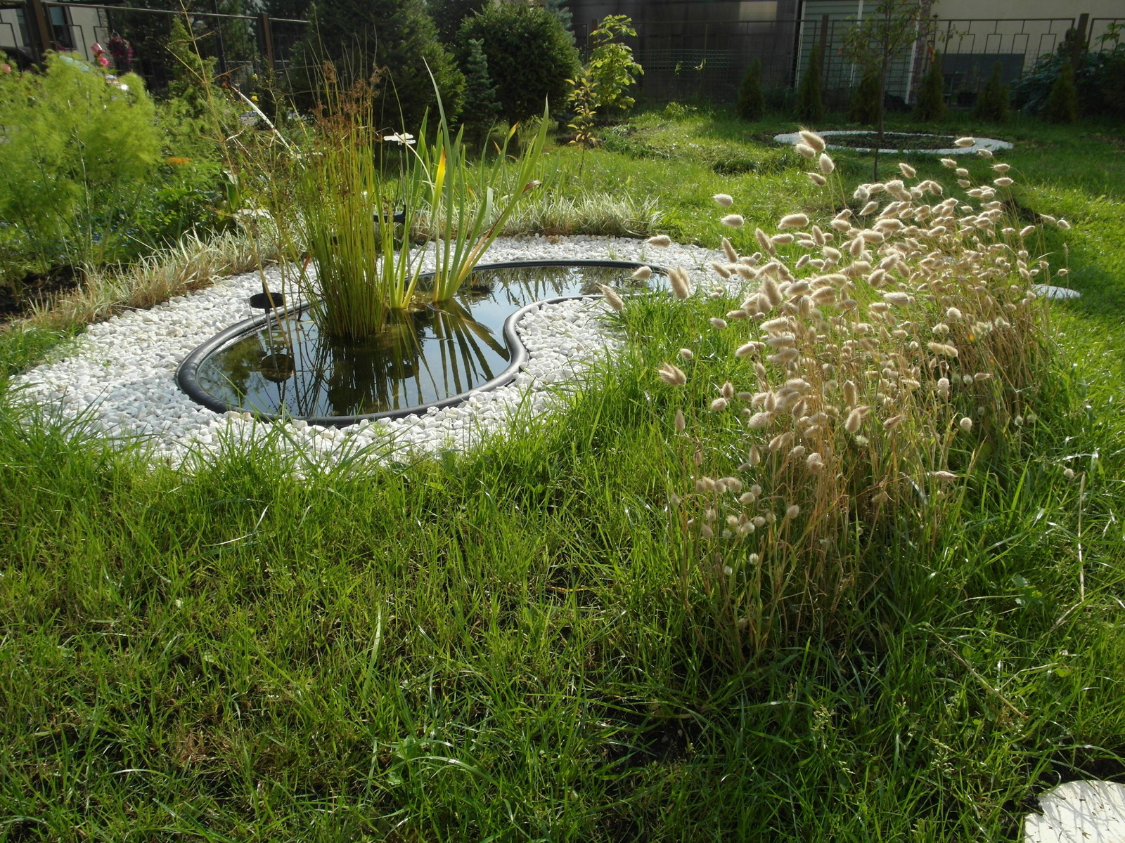 Фотоохота: 37 садов со злаками