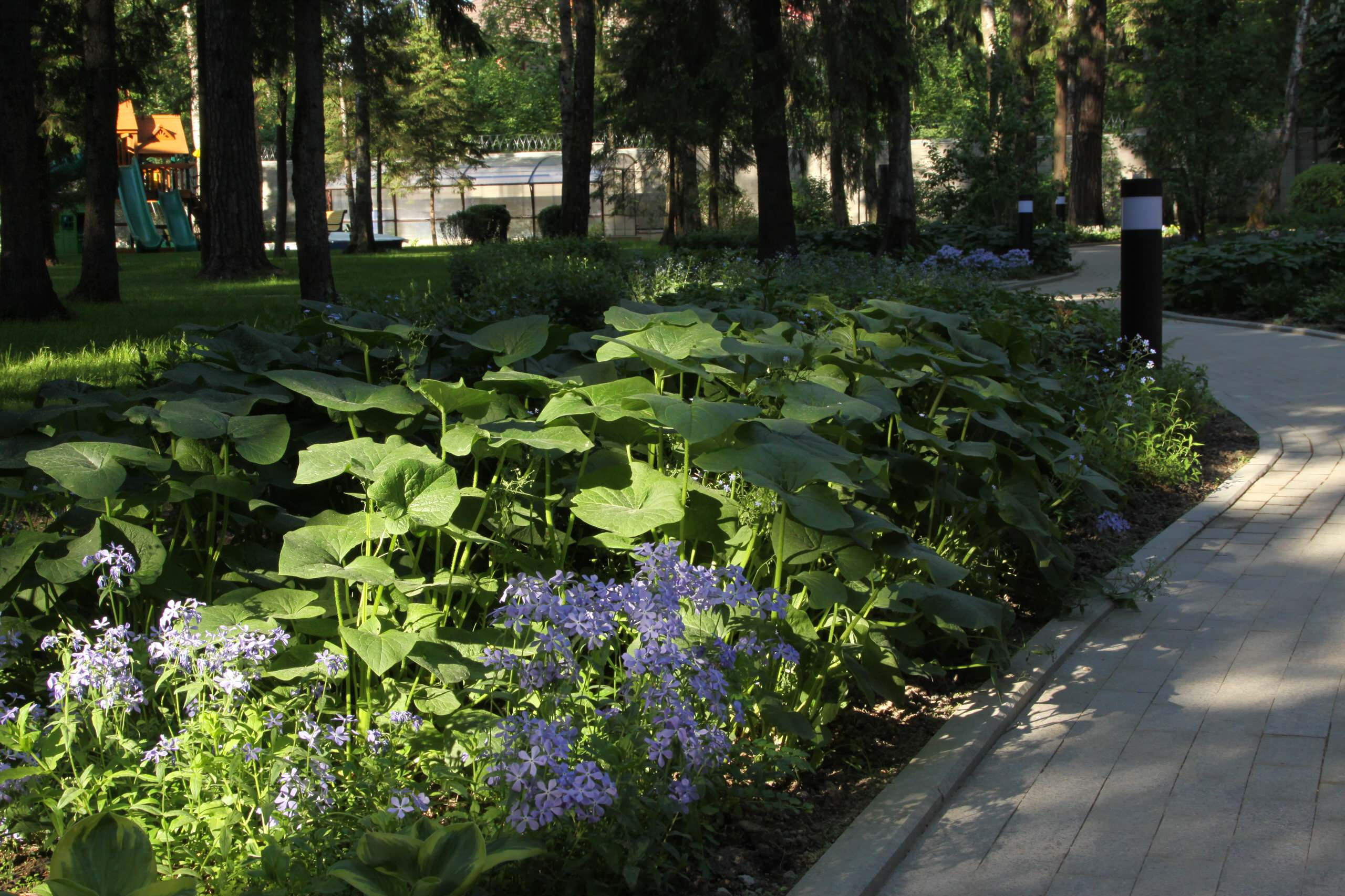 Как правильно: Спланировать цветник на садовом участке