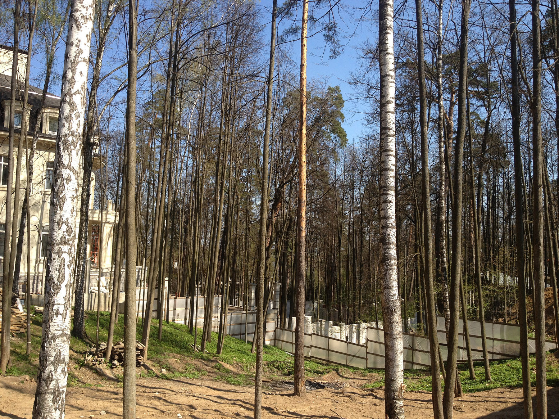 Проект недели: Модернистский сад на нескольких уровнях