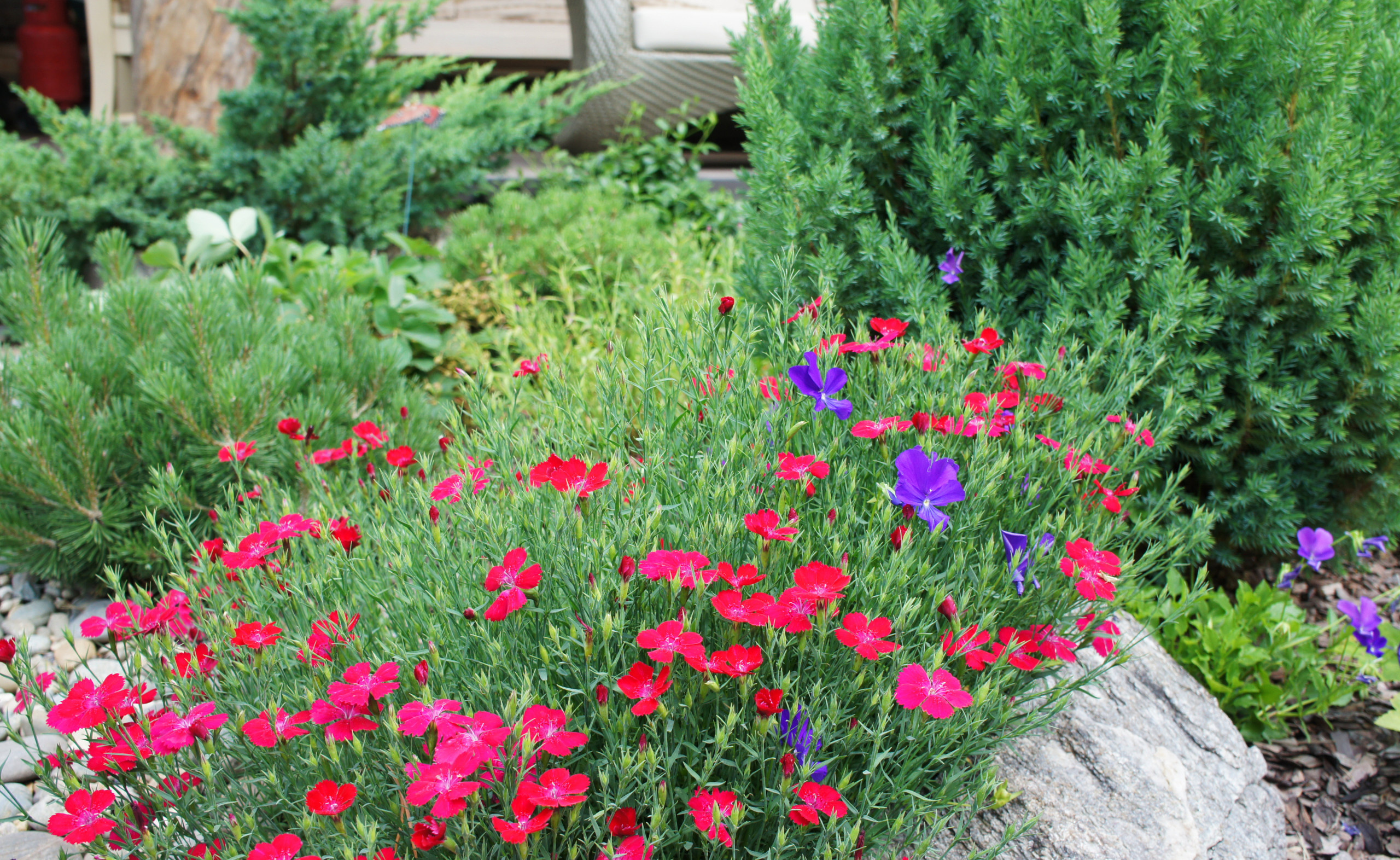 Сад недели: Весна в Подмосковье