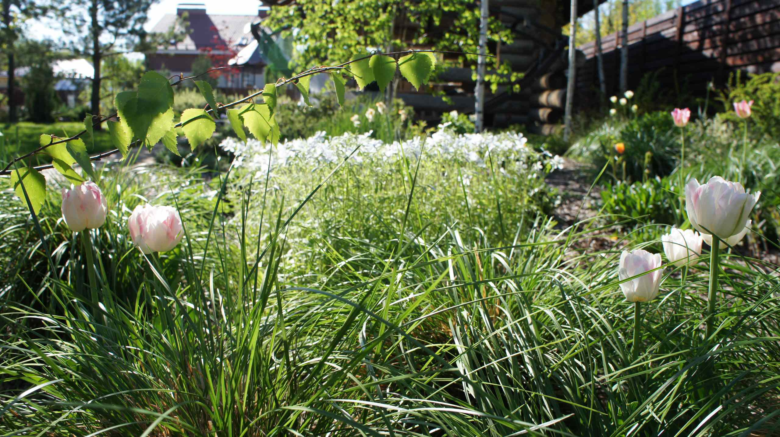 Сад недели: Весна в Подмосковье