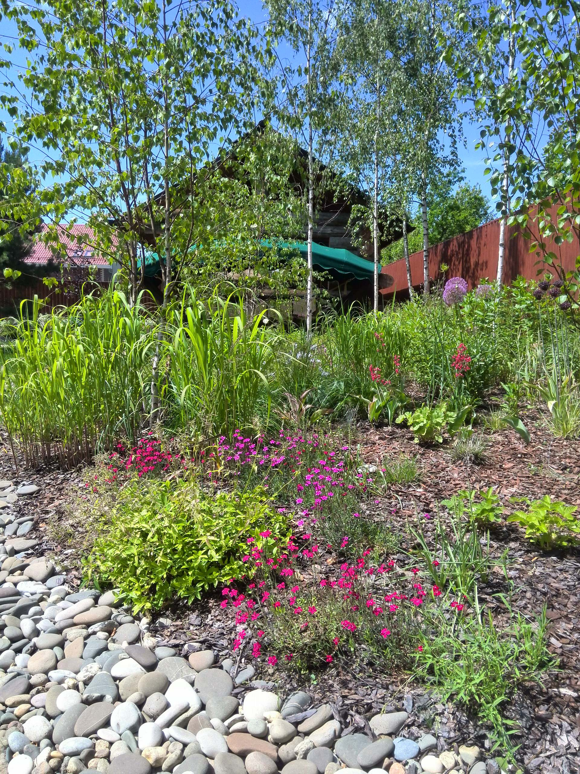 Сад недели: Весна в Подмосковье